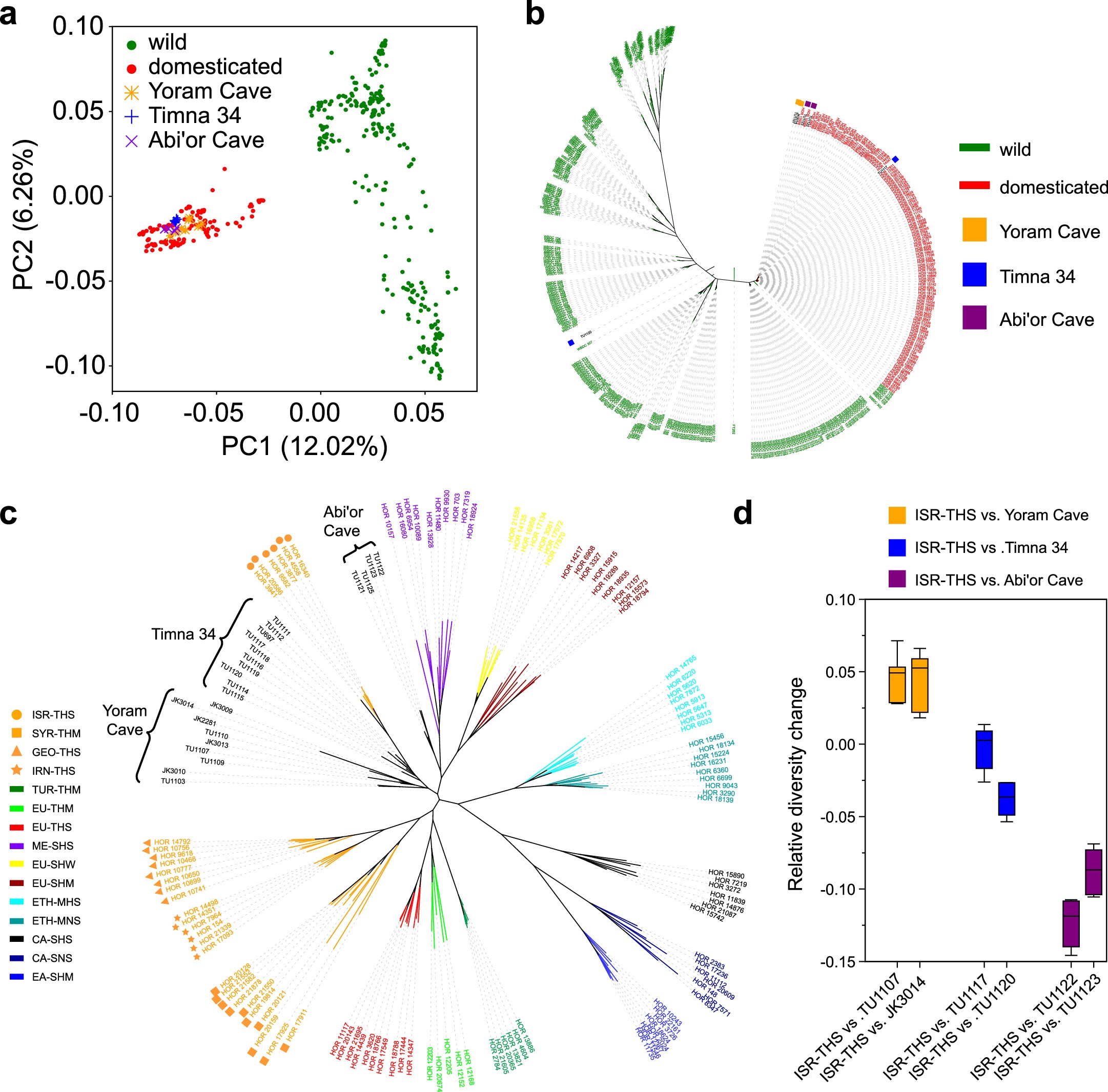 Extended Data Fig. 10: Ancient samples in the diversity space of extant barleys.