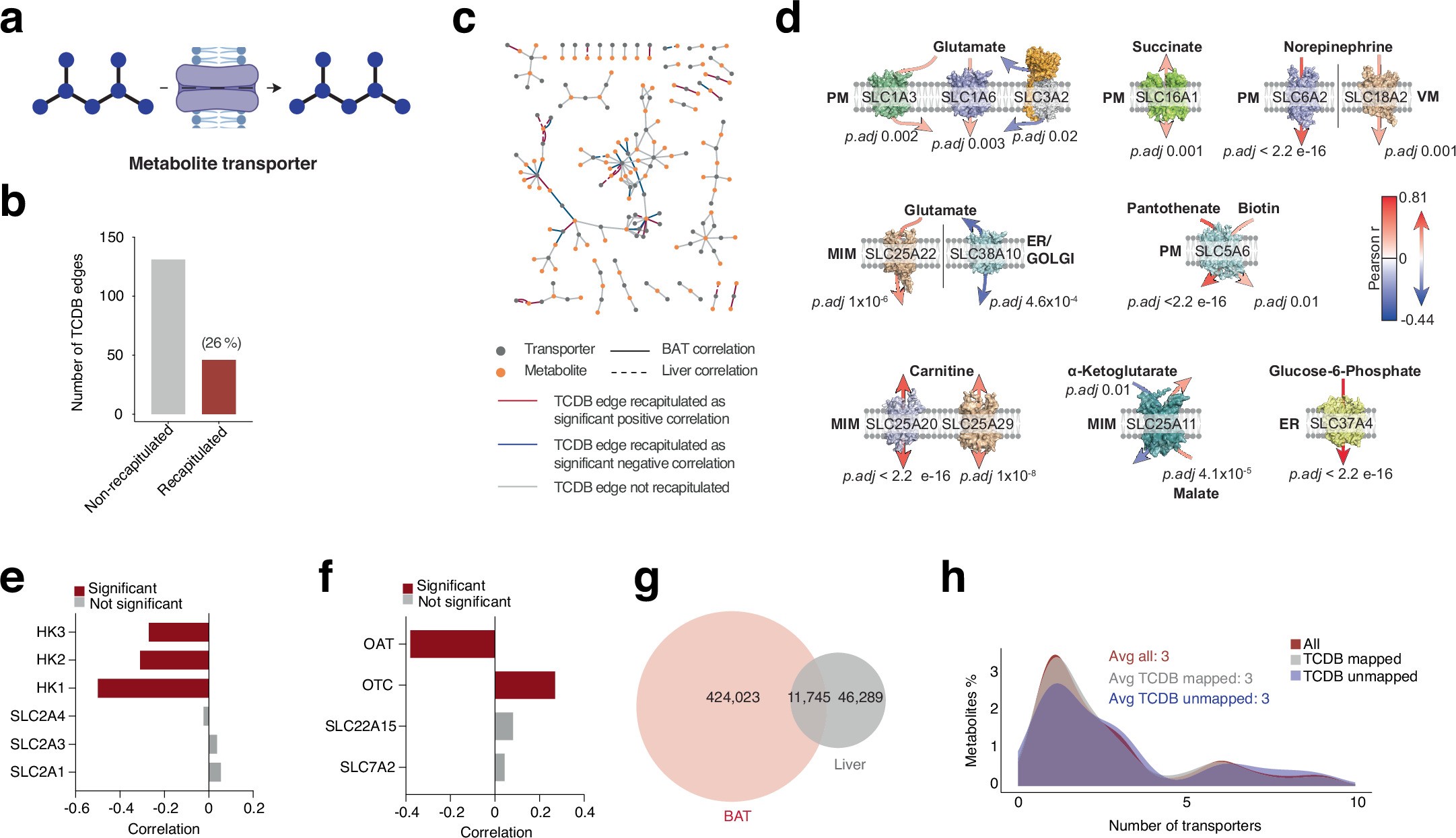 Extended Data Fig. 2: MPCA edges recapitulate metabolite-transporter relationships.