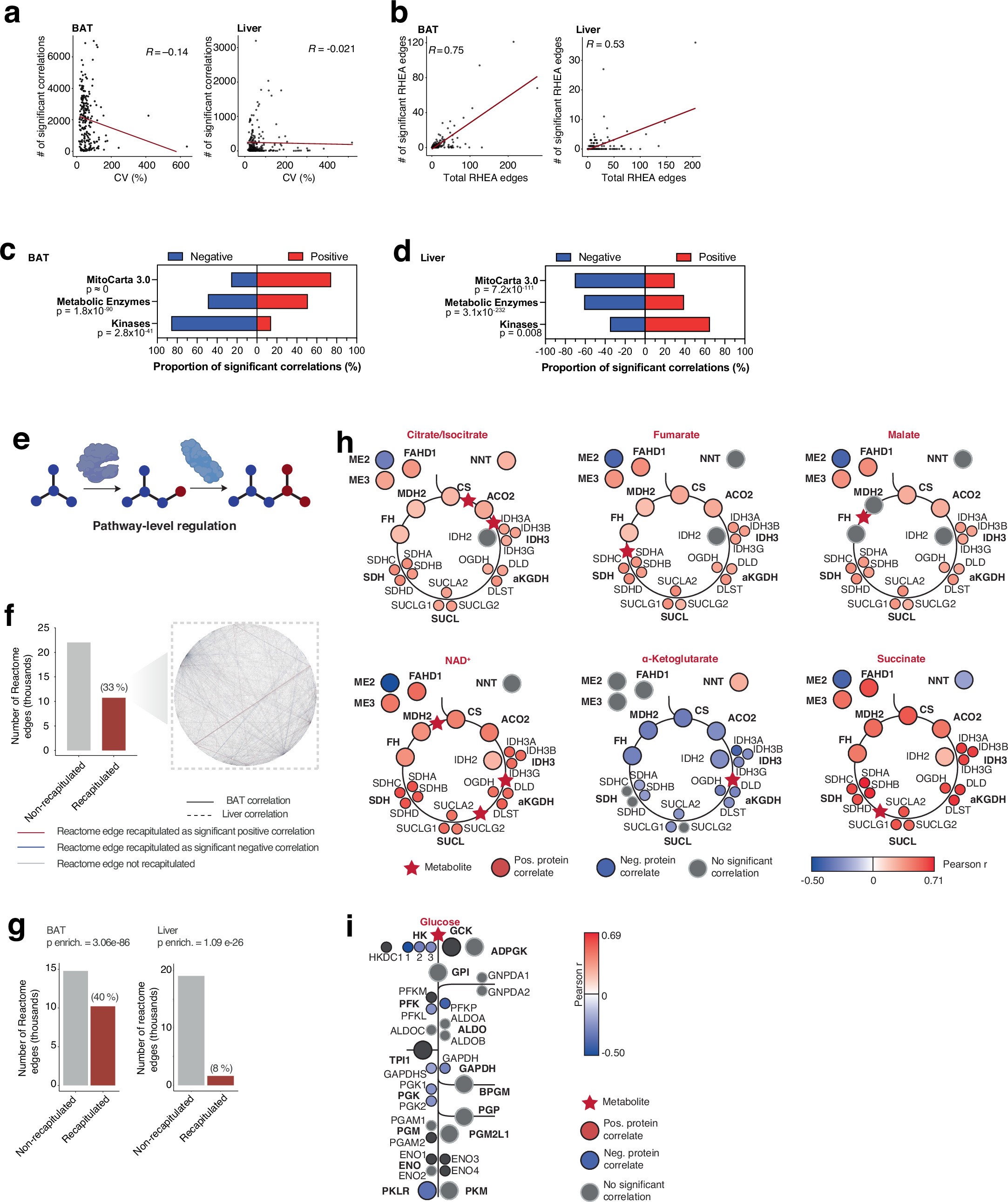 Extended Data Fig. 3: Analysis of factors that underlie significant protein-metabolite correlations in MPCA.