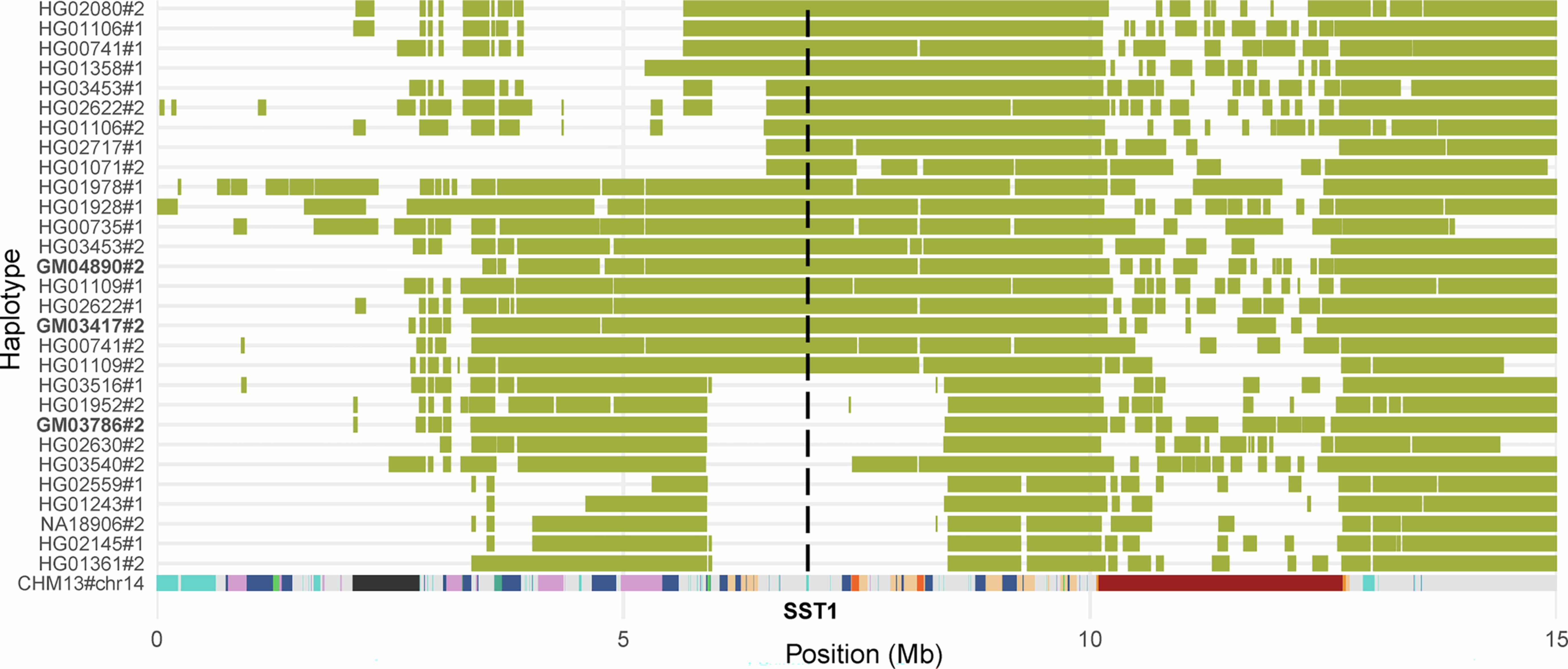 Extended Data Fig. 5: SST1 array deletion on chromosome 14.