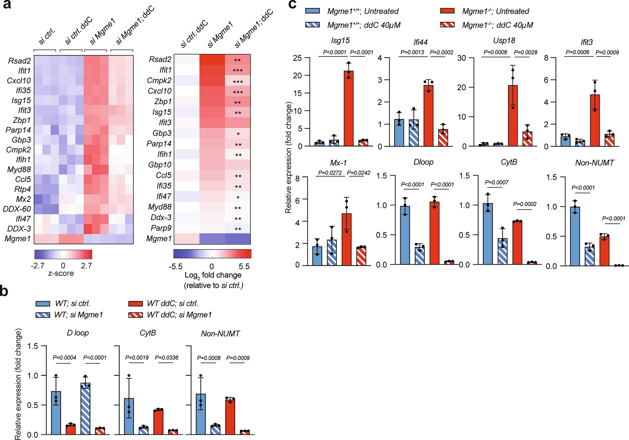 Extended Data Fig. 5: mtDNA-dependent ISG response in Mgme1−/− cells.