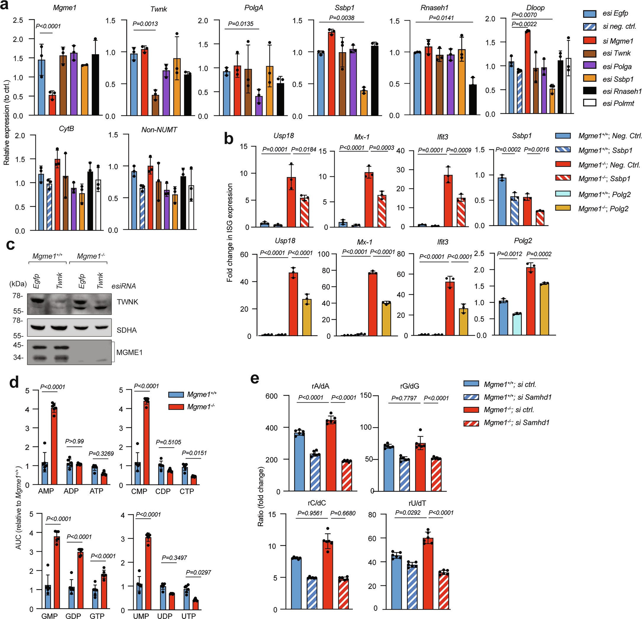 Extended Data Fig. 6: Ongoing mtDNA replication is required for ISG expression.