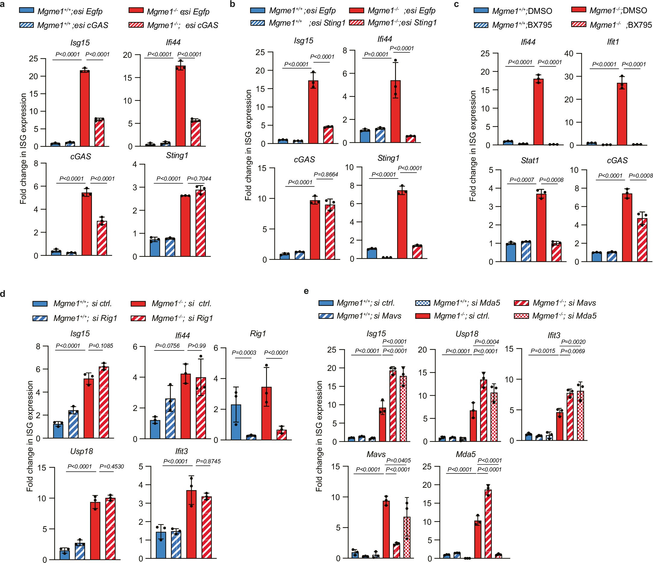 Extended Data Fig. 3: Loss of MGME1 elicits cGAS-STING-dependent innate immune signalling.