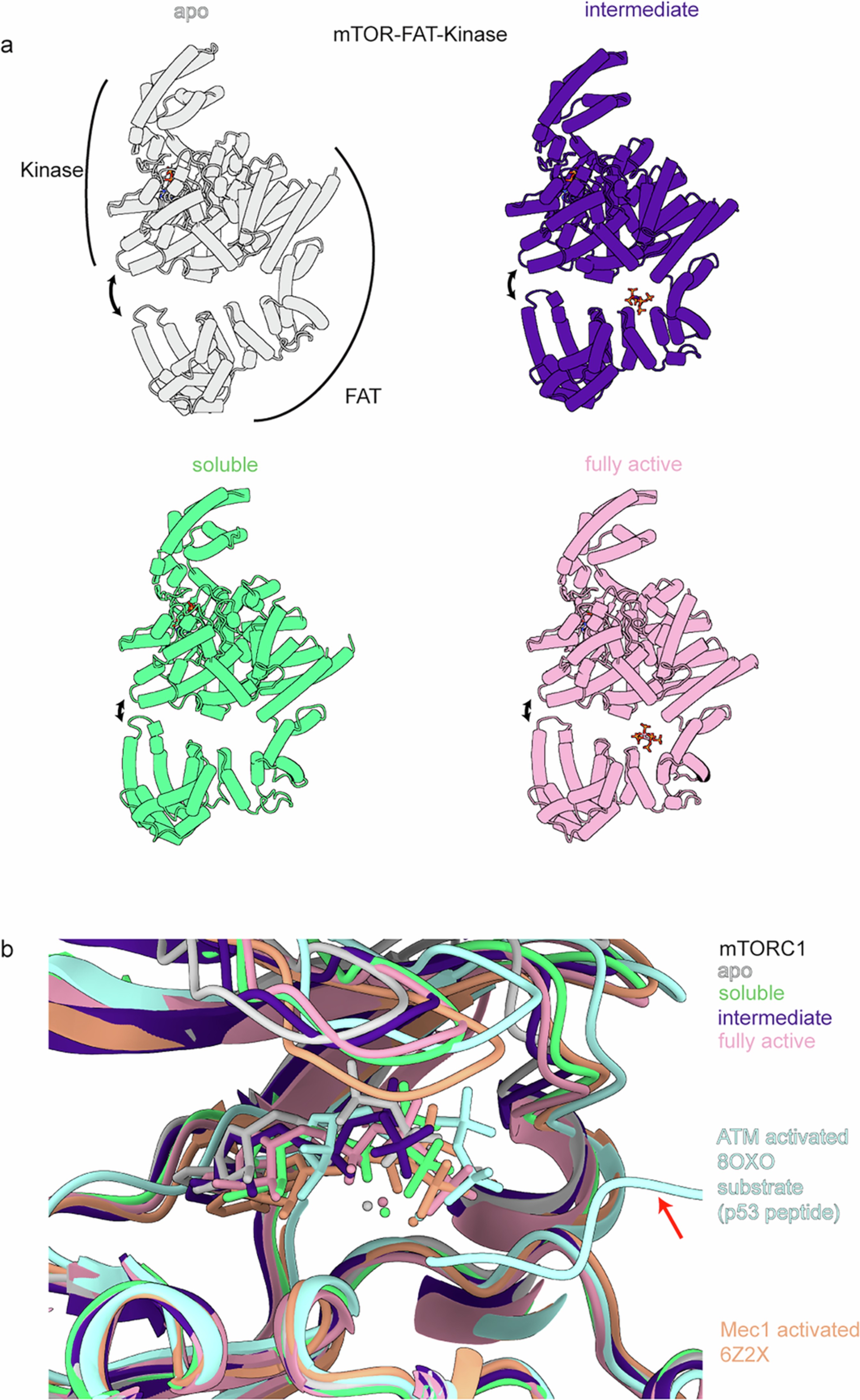 Extended Data Fig. 8