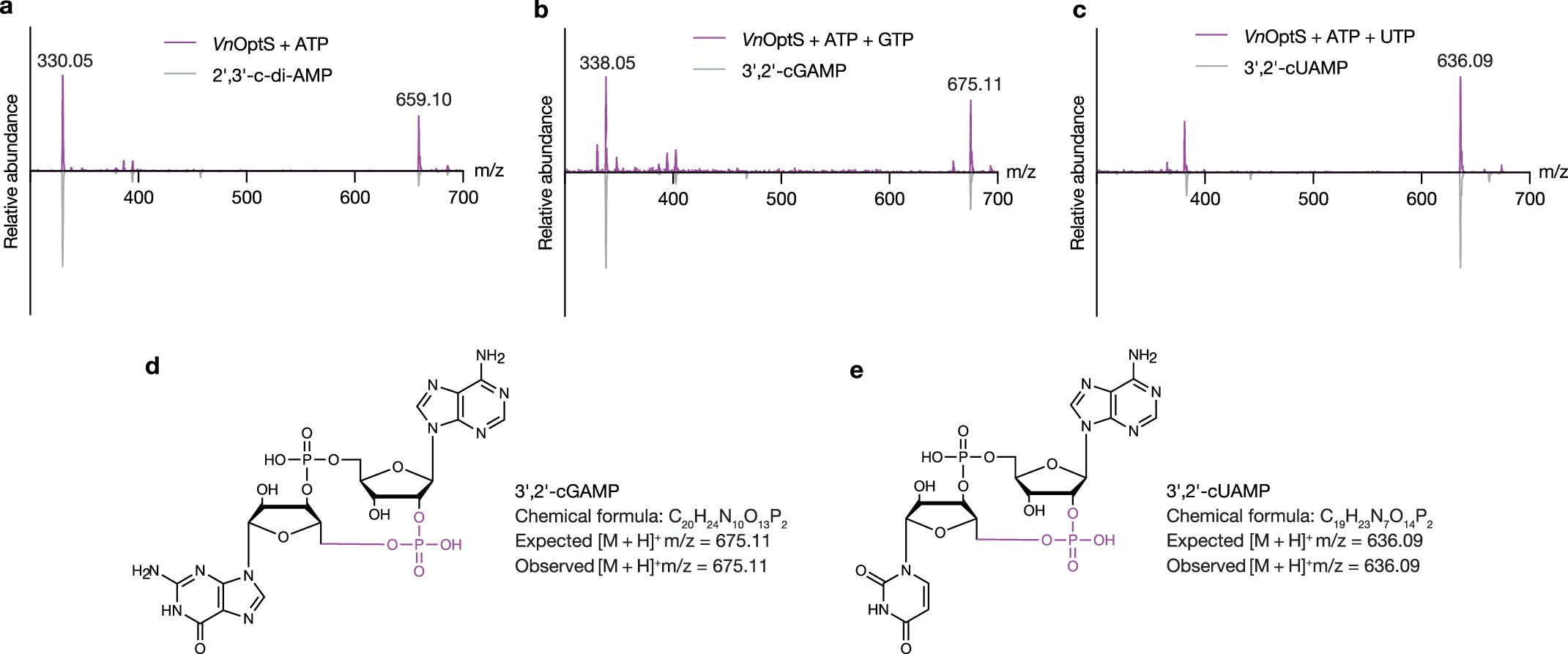 Extended Data Fig. 6: Mass spectrometry data for VnOptS cyclic dinucleotides.