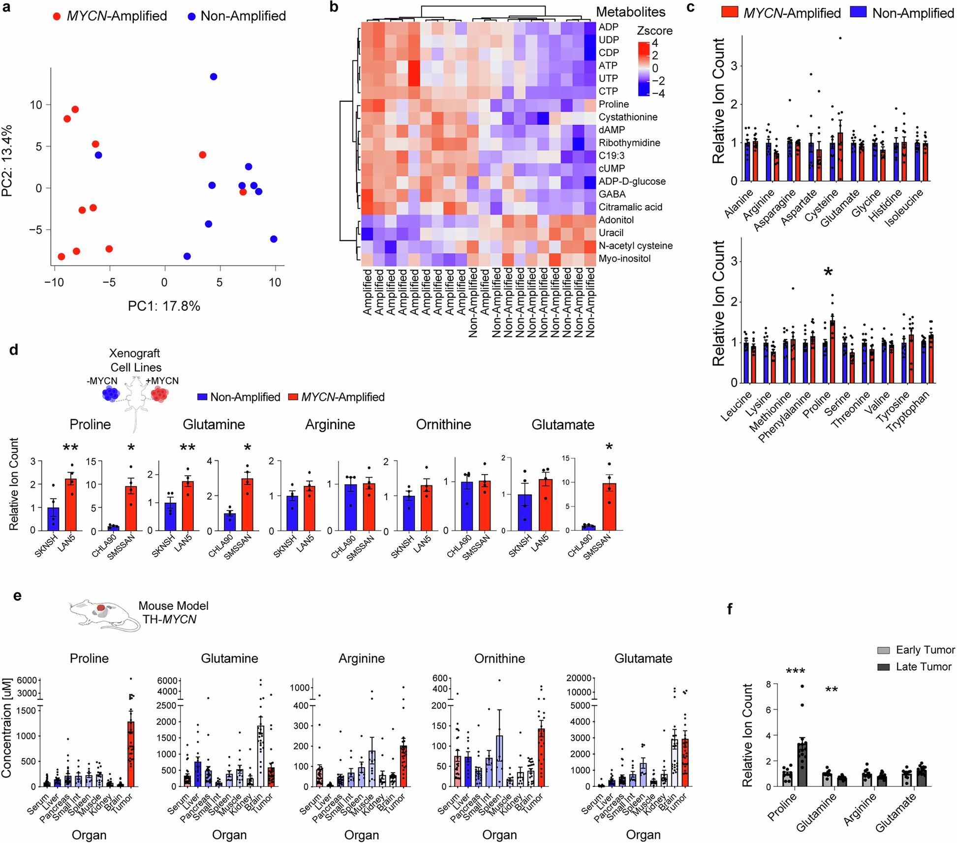 Extended Data Fig. 1: Metabolomic profiling of MYCN-amplified primary patient tumors and xenografts reveals reprogramming of the arginine-proline-glutamine axis.