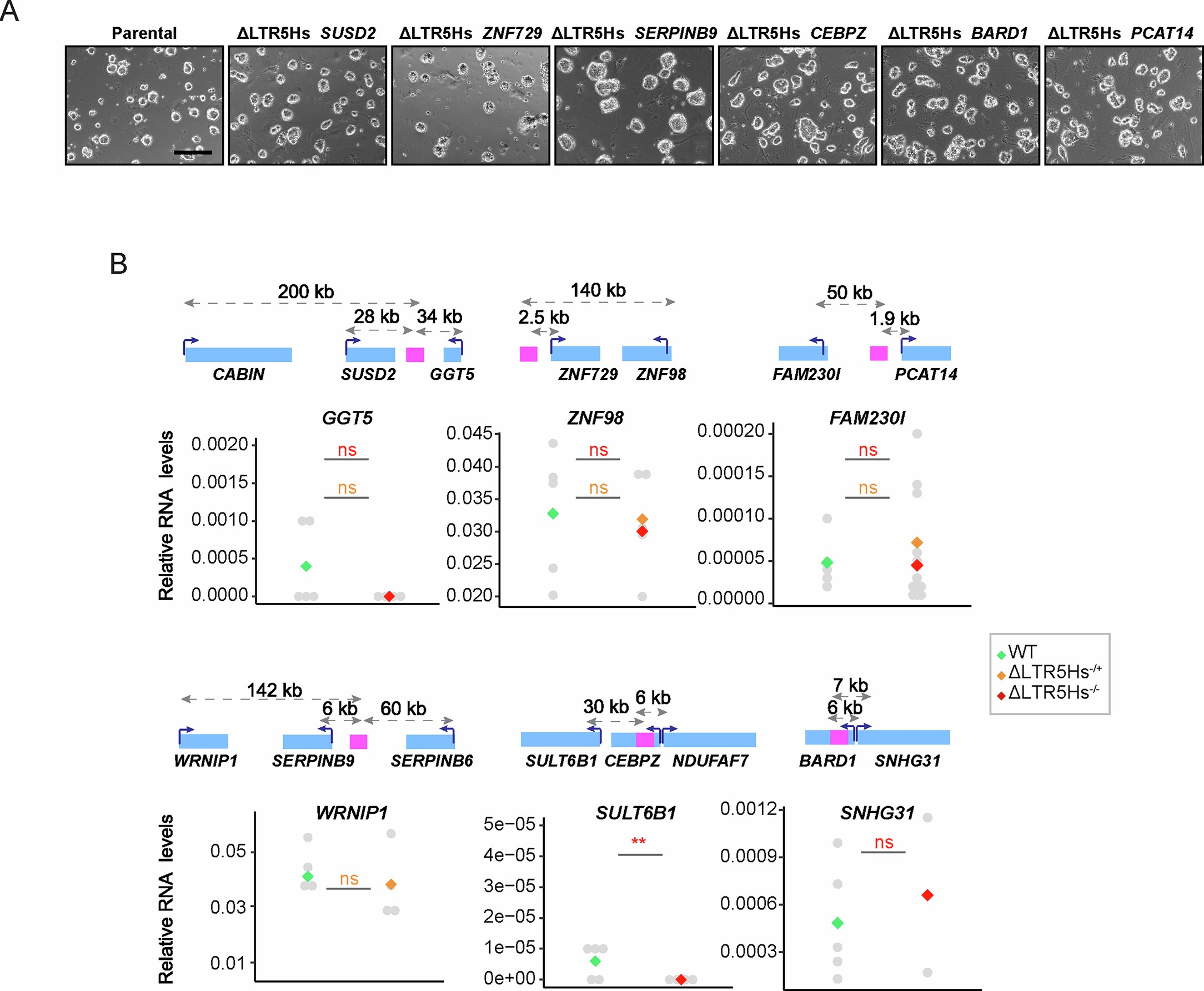 Extended Data Fig. 6