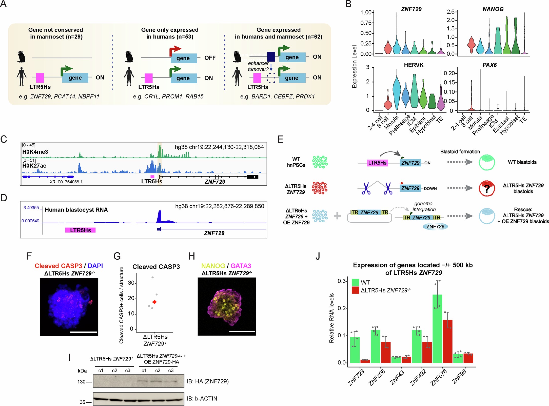 Extended Data Fig. 7