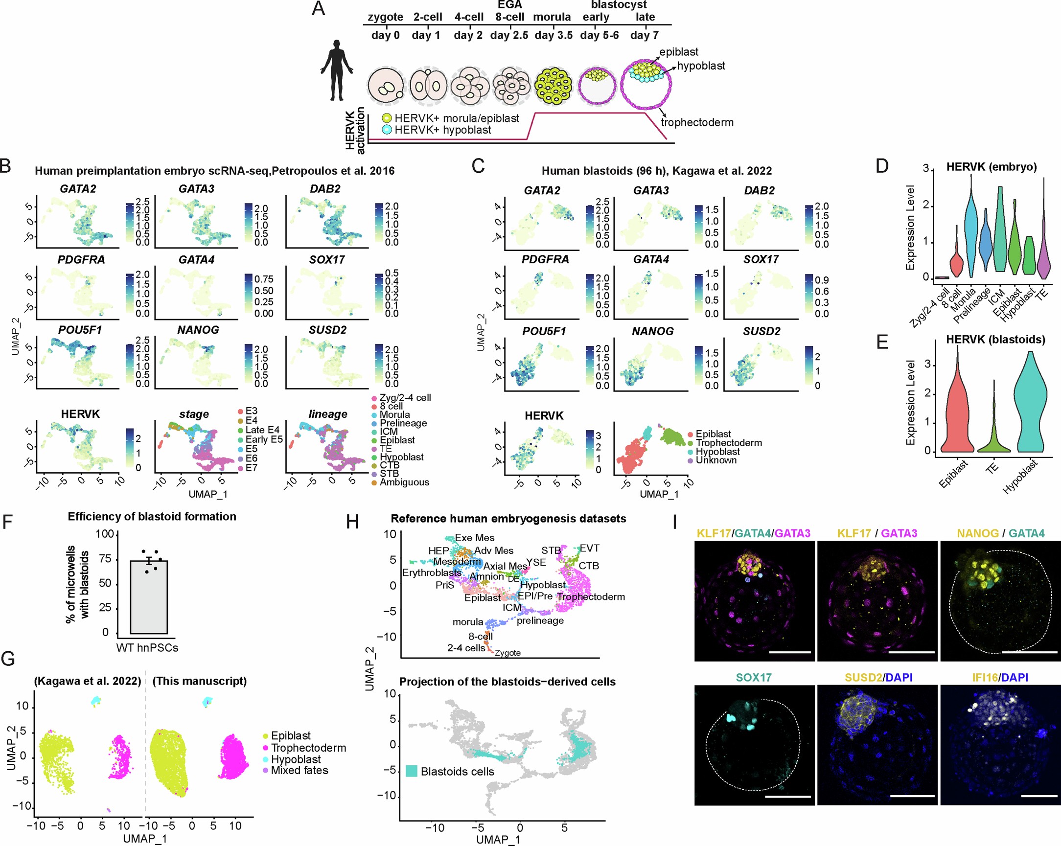 Extended Data Fig. 1