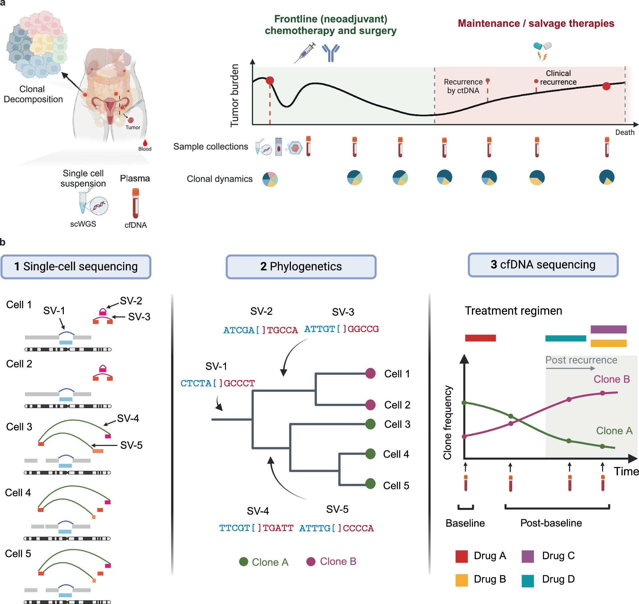 Extended Data Fig. 3: Study summary.