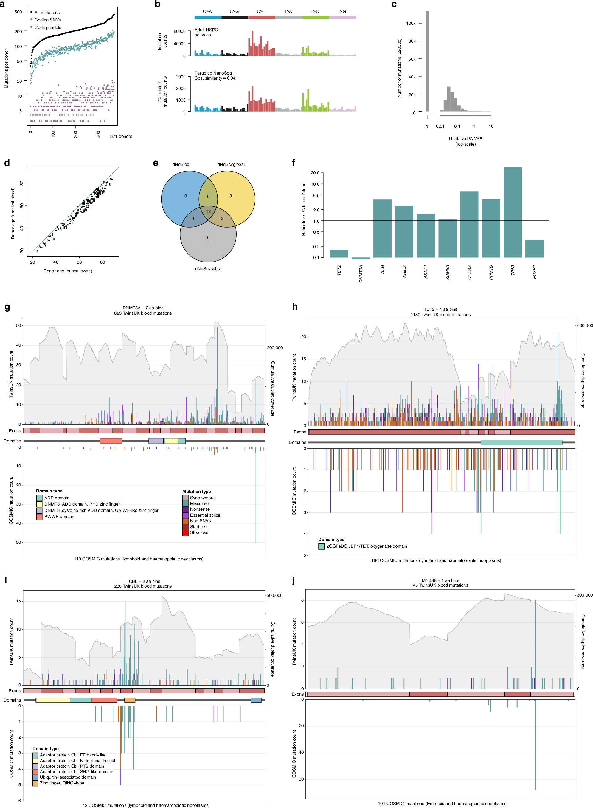 Extended Data Fig. 3: Further description of the blood driver landscape.