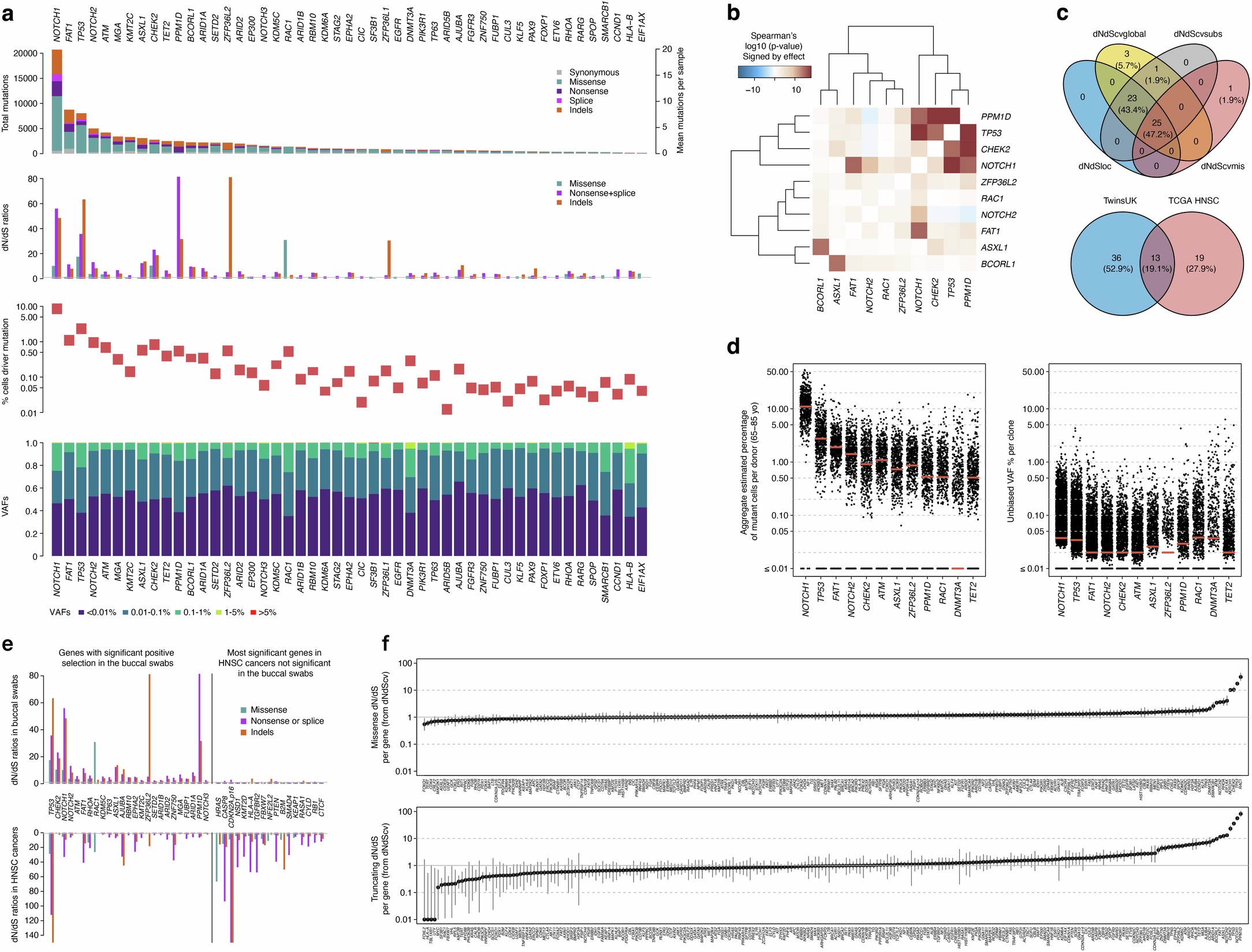 Extended Data Fig. 5: Full driver landscape in oral epithelium.