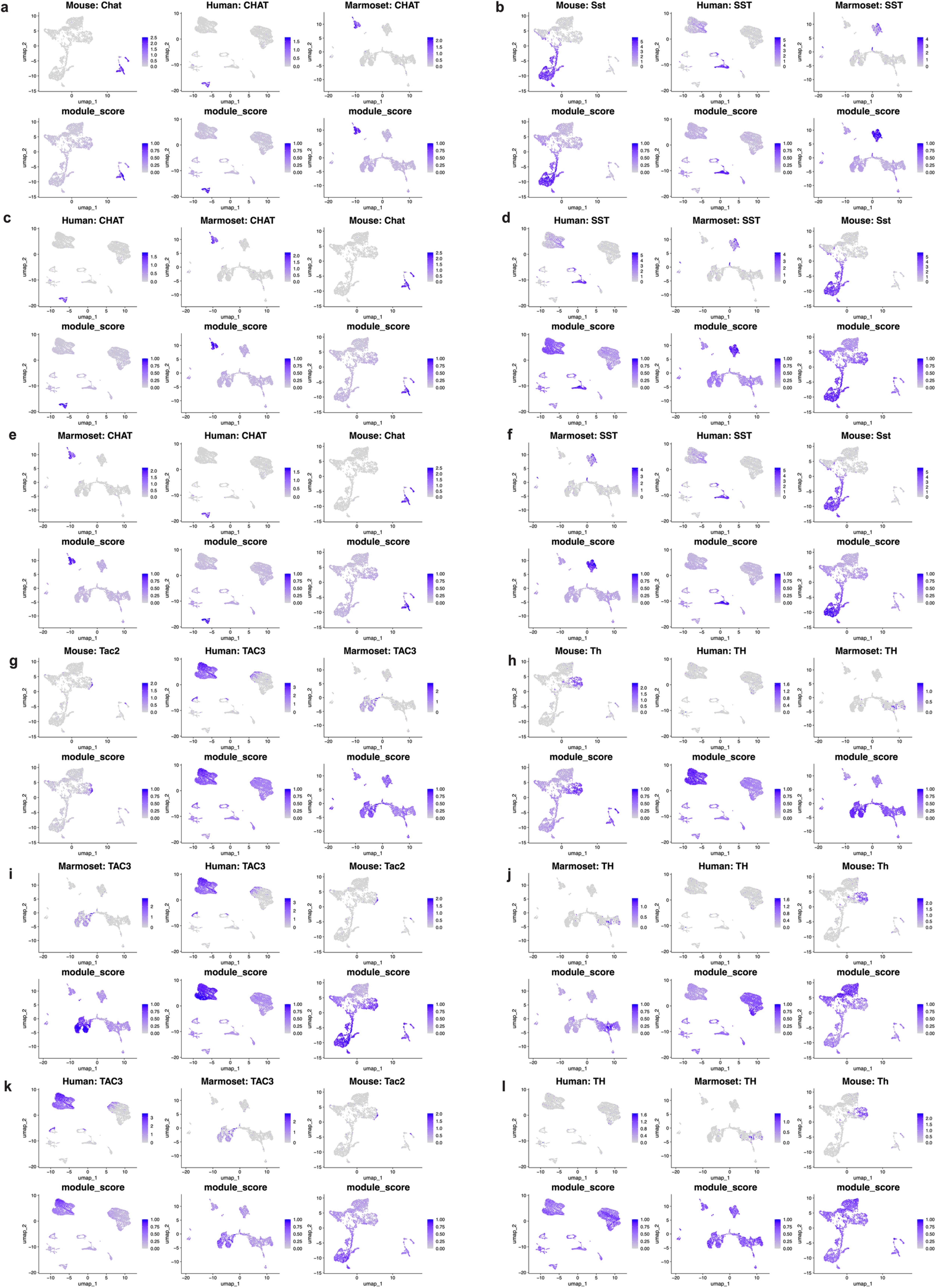 Extended Data Fig. 9: Hotspot gene modules across adult datasets.