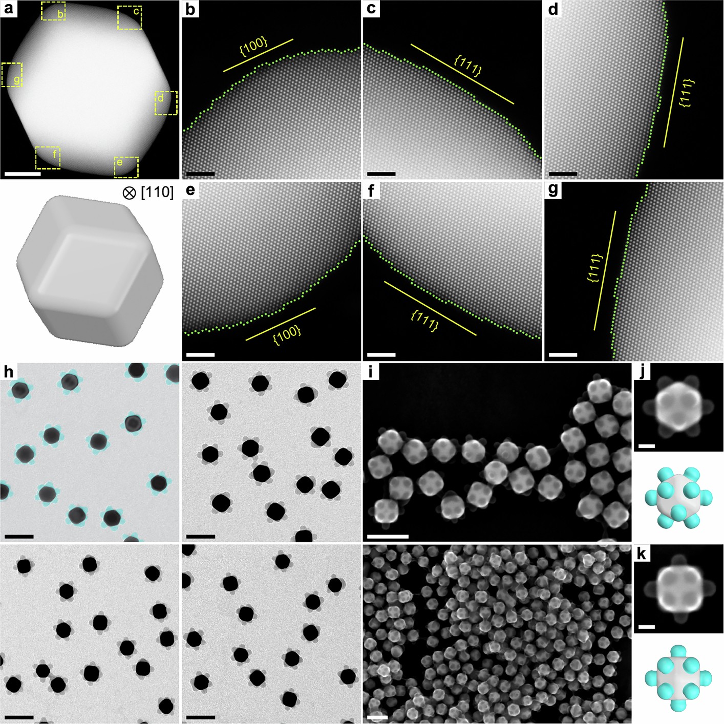 Extended Data Fig. 7: Surface facets of gold rhombic dodecahedra and examples of patchy rhombic dodecahedra.