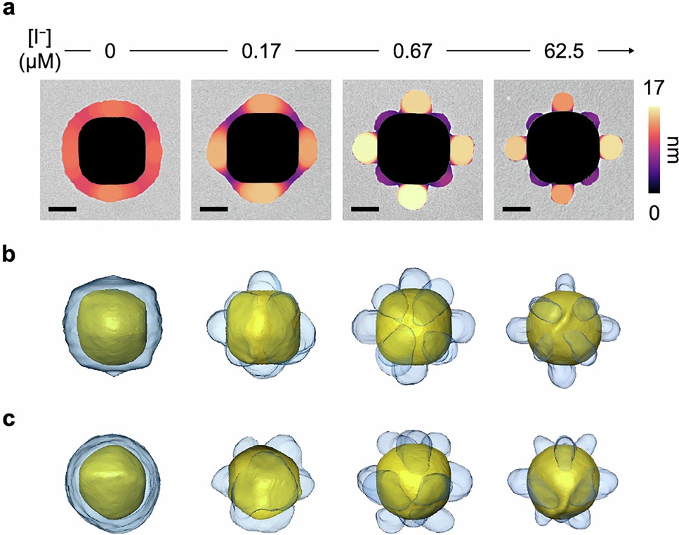 Extended Data Fig. 8