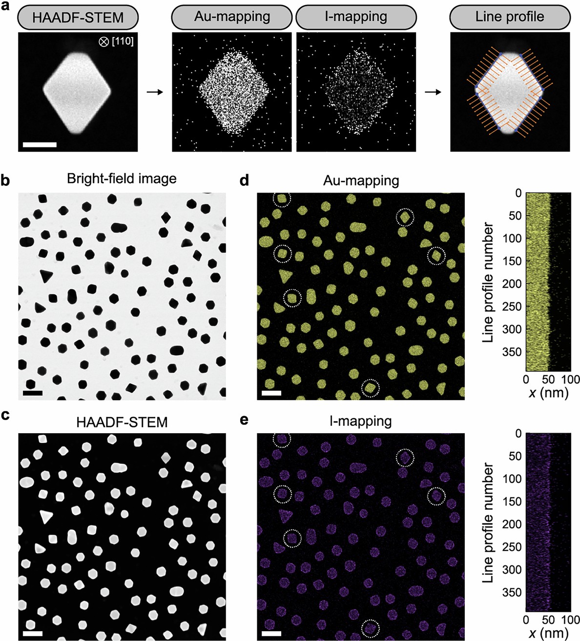 Extended Data Fig. 2: STEM-EDX analysis of iodide-masked octahedra.