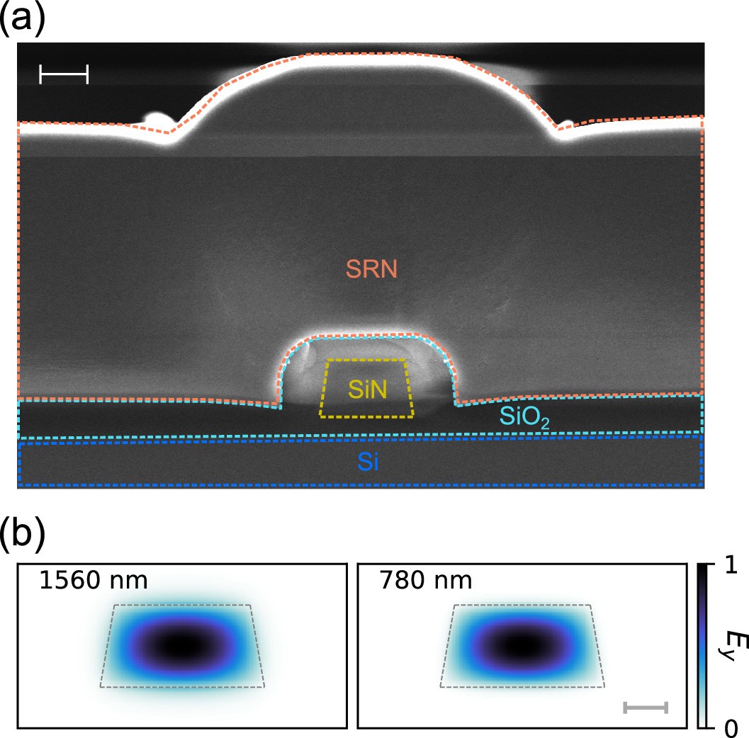 Extended Data Fig. 2: Structure of a programmable nonlinear channel waveguide.