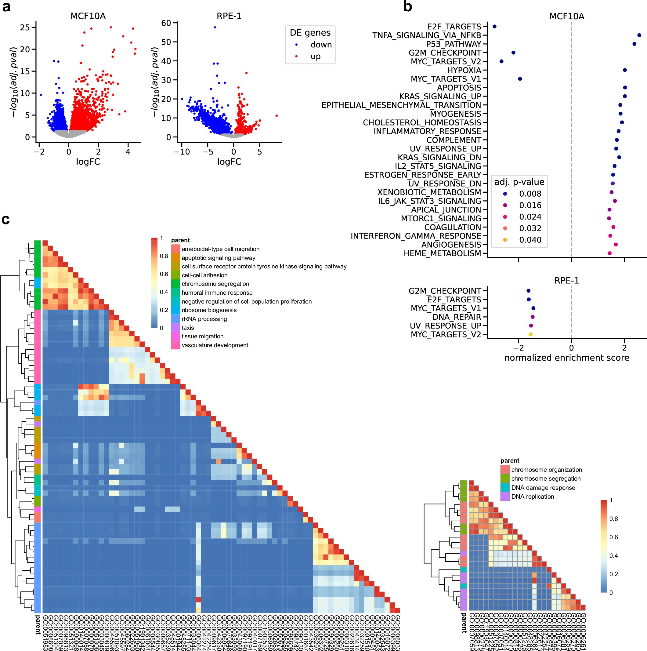 Extended Data Fig. 7: Differential expression analysis of micronucleated cells.