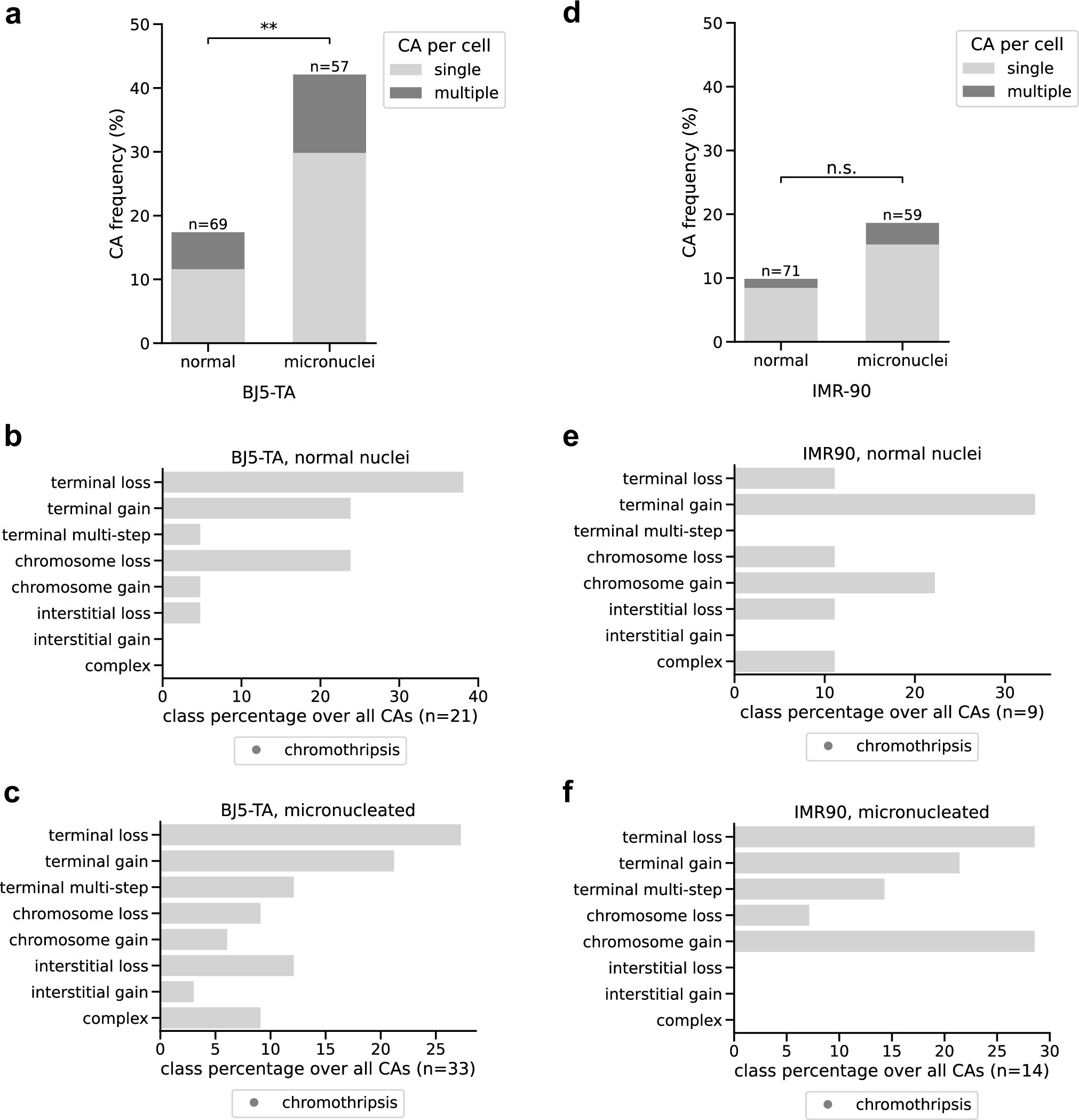 Extended Data Fig. 2: CA landscape characterization in additional cell lines.