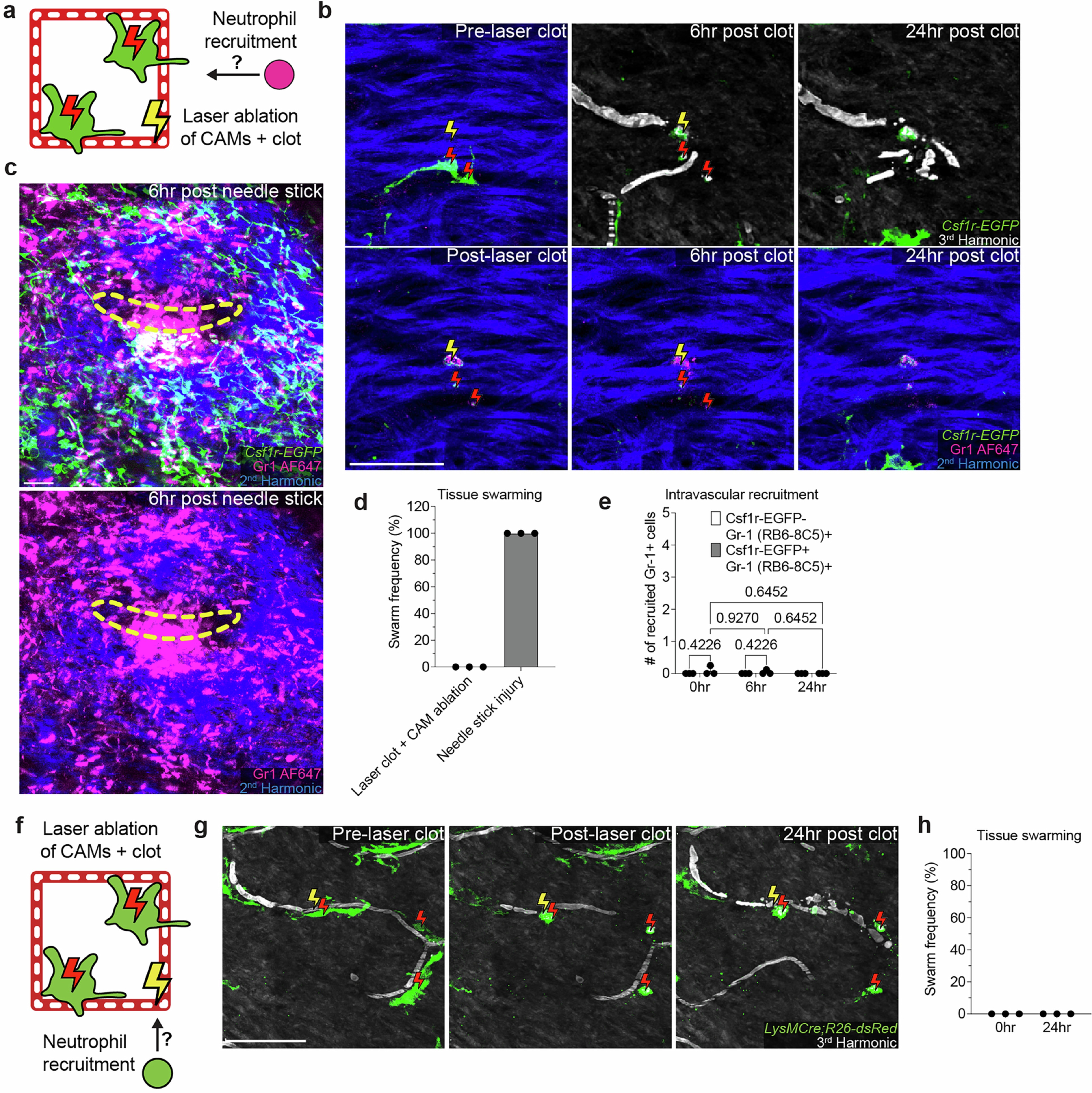 Extended Data Fig. 7