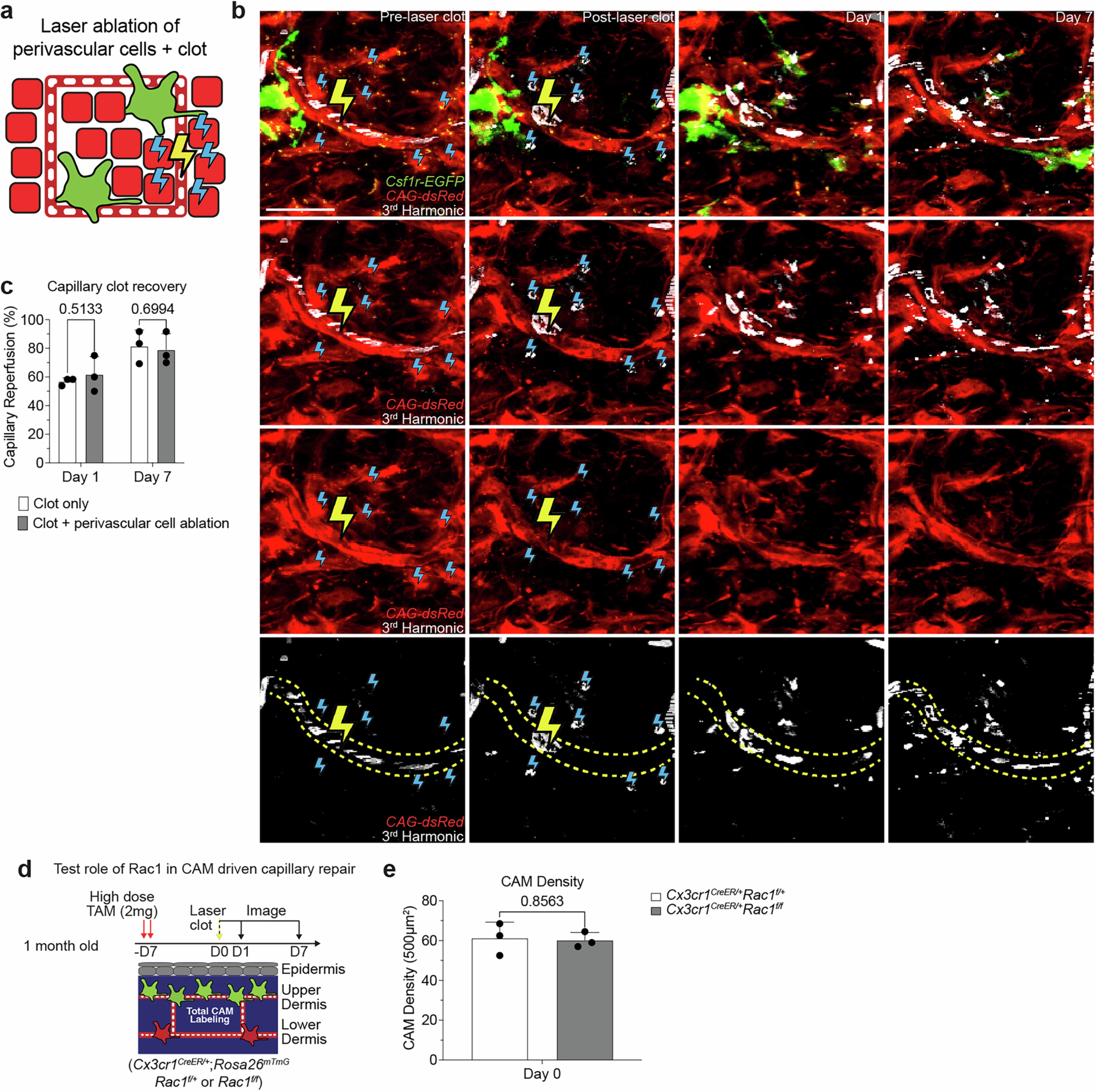 Extended Data Fig. 8