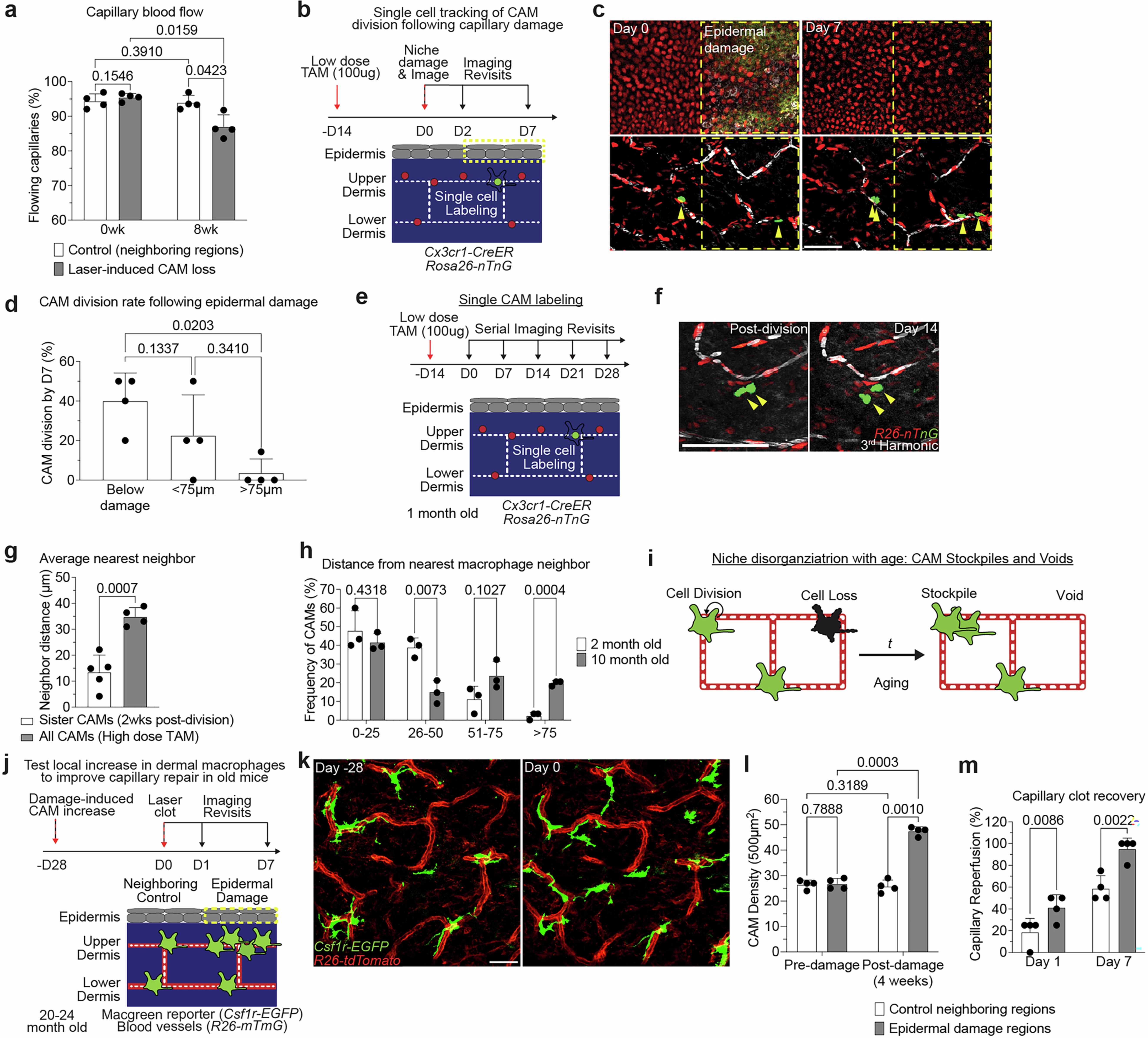 Extended Data Fig. 9