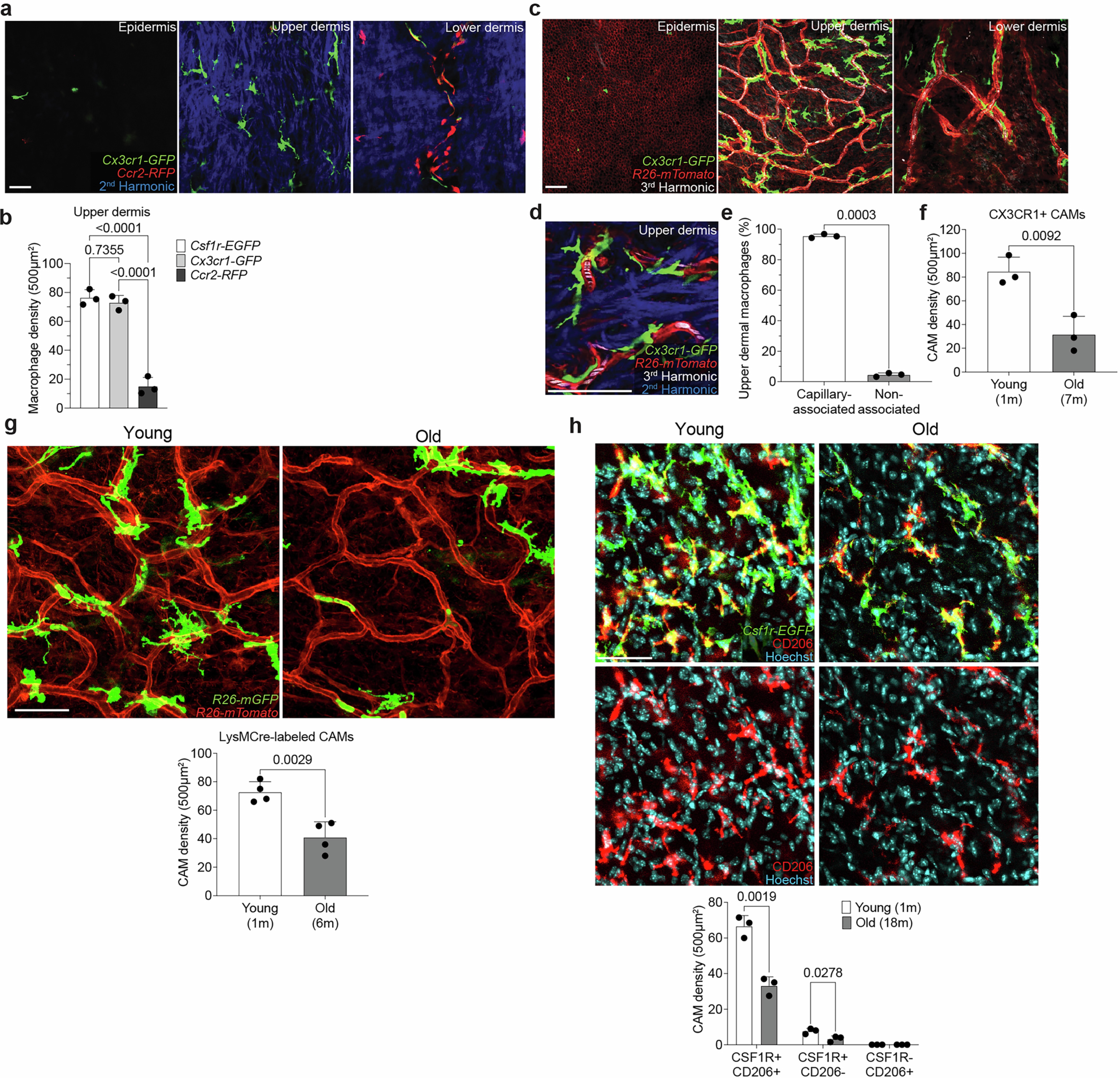 Extended Data Fig. 1