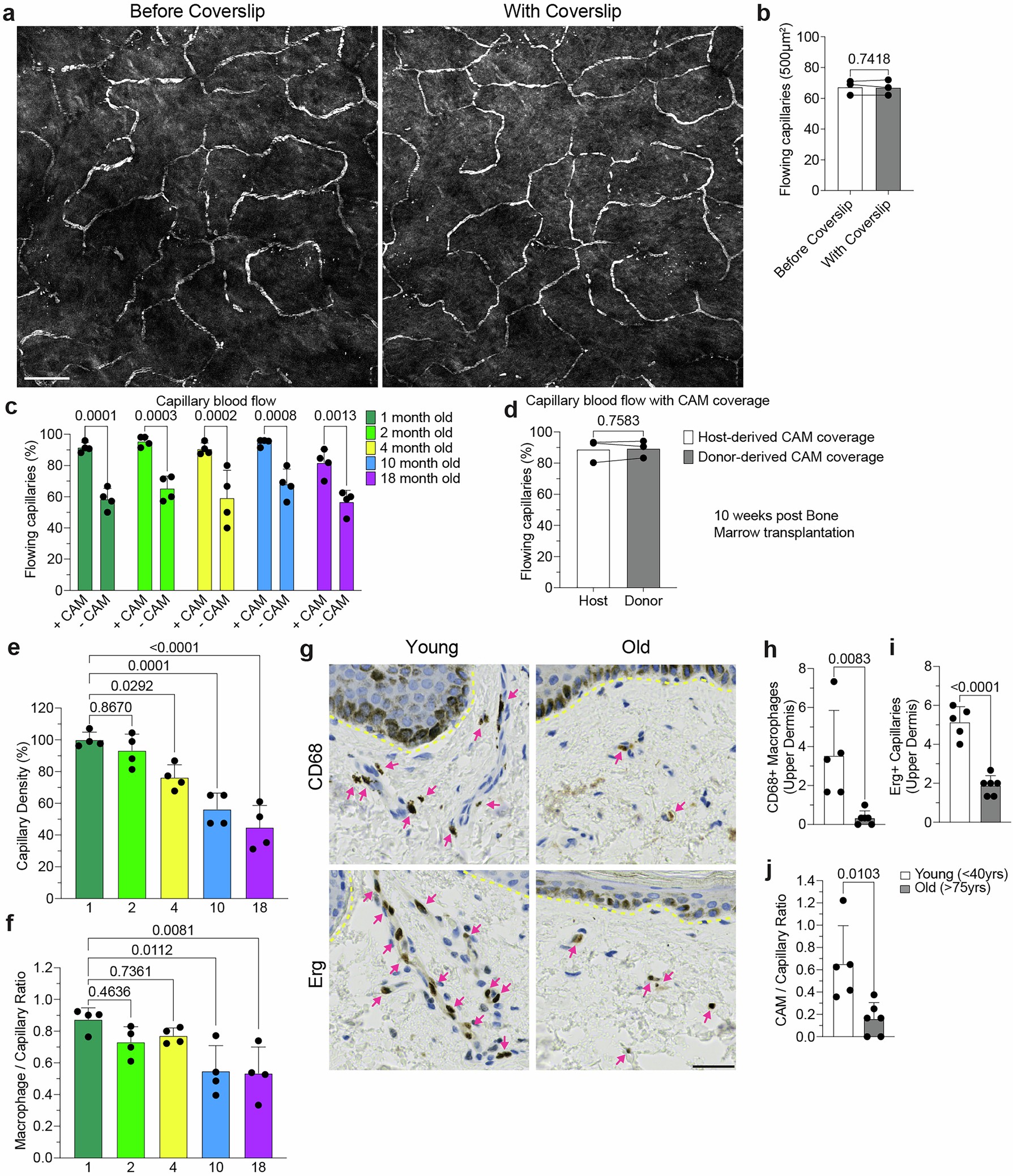 Extended Data Fig. 3