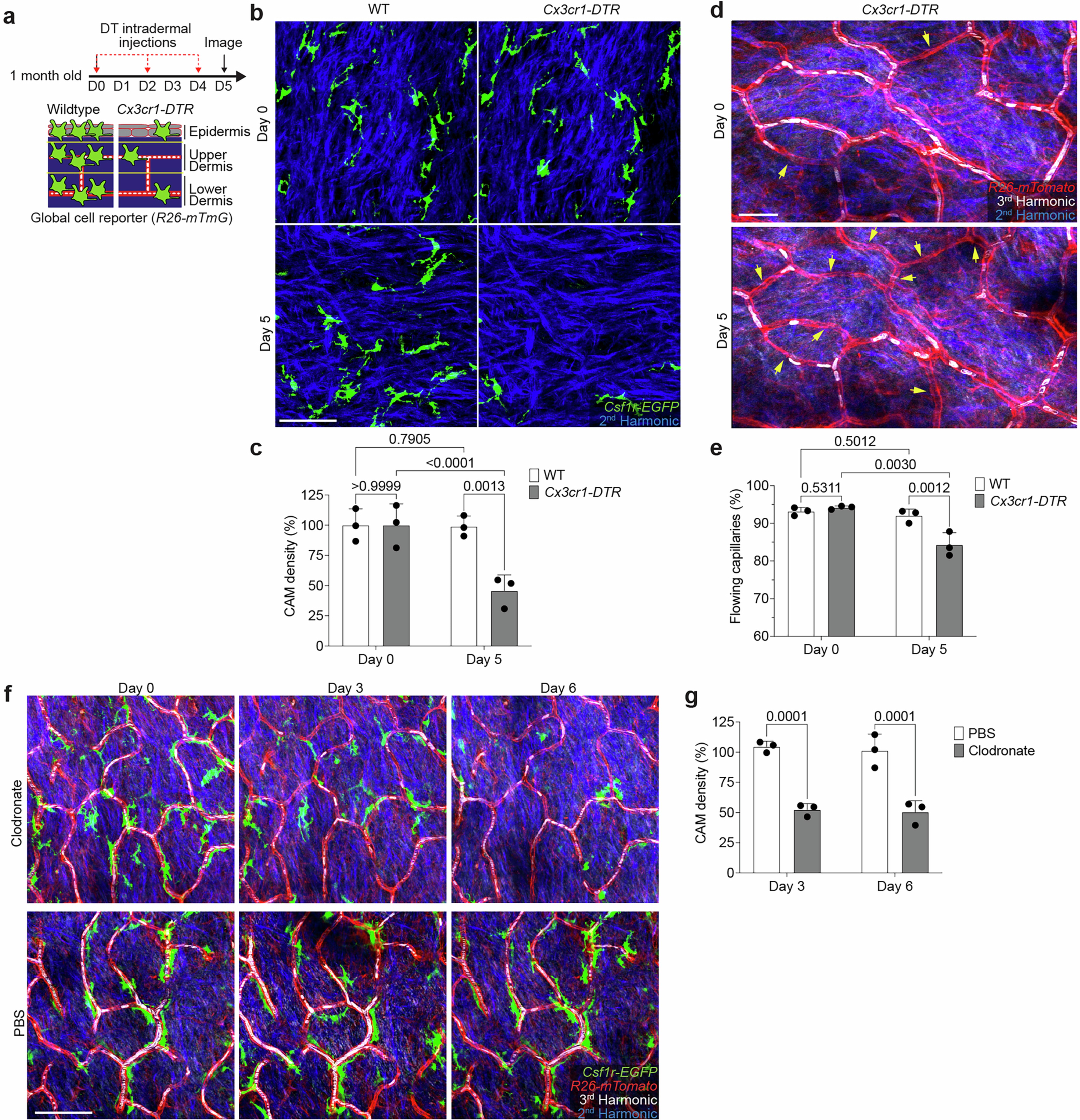 Extended Data Fig. 4