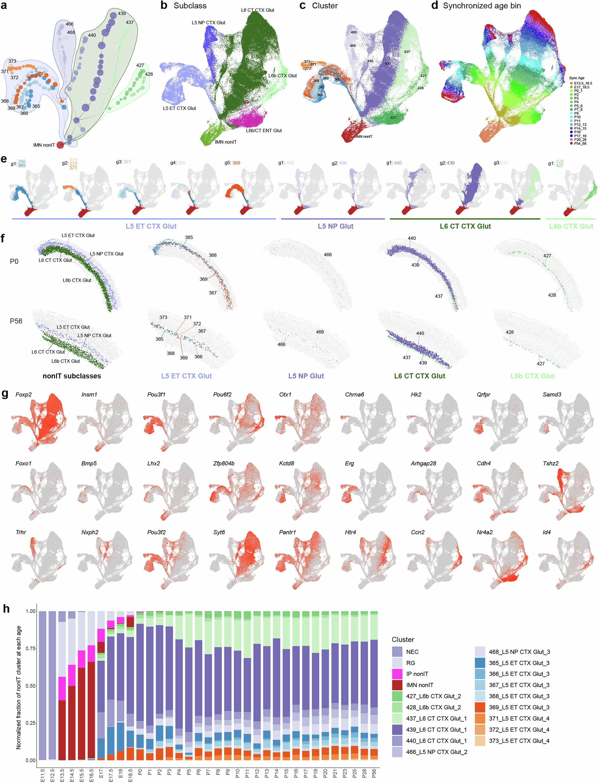 Extended Data Fig. 6: Developmental trajectories of visual cortex nonIT Glut cell types.