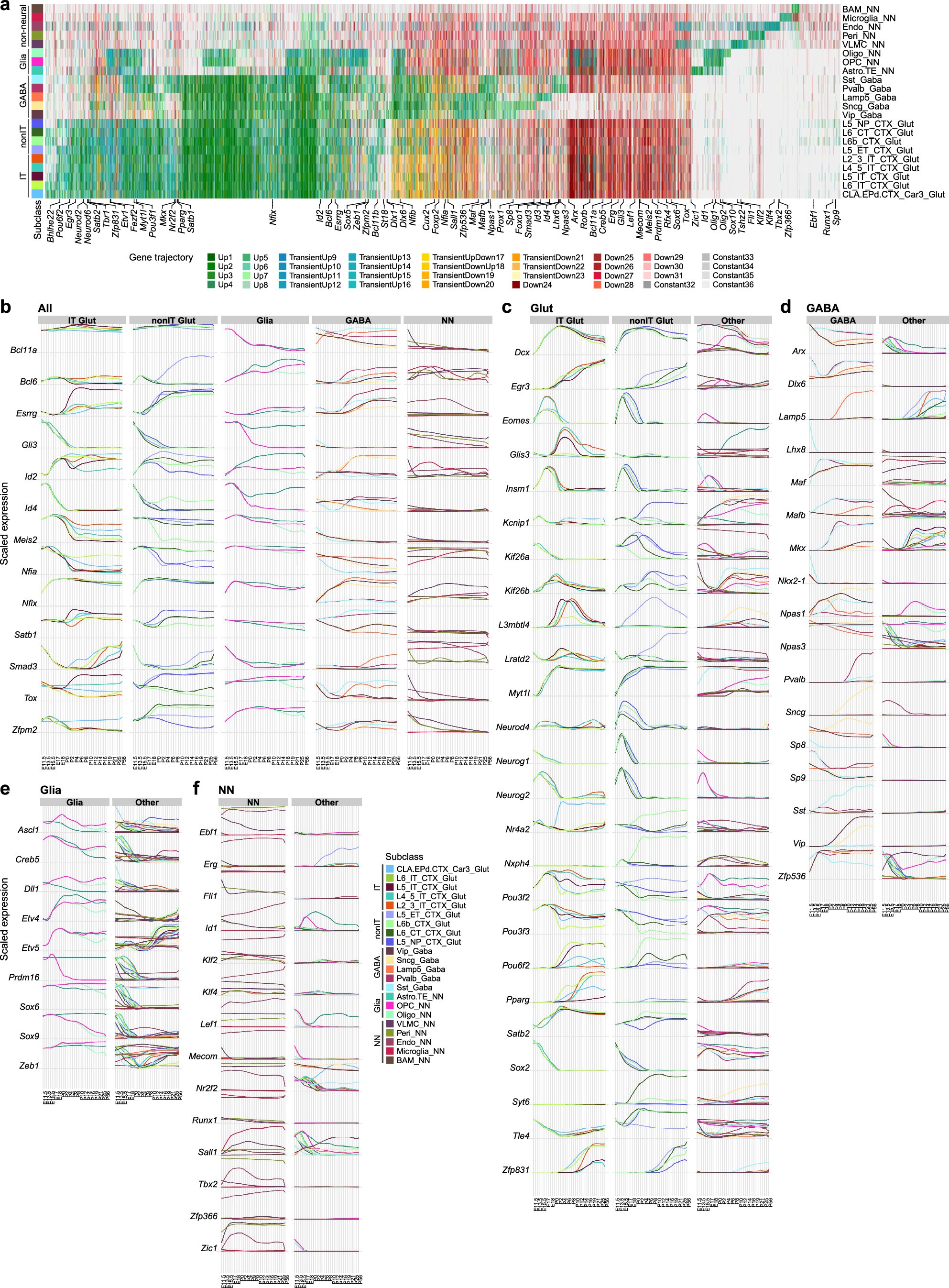 Extended Data Fig. 11: Gene expression trajectories across cell types and ages during development.