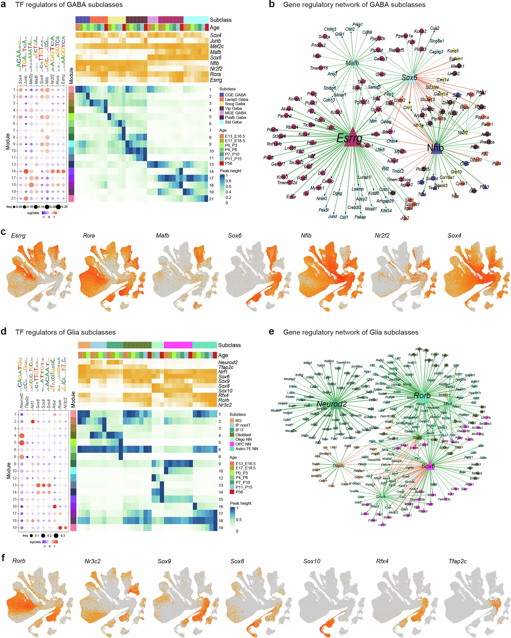 Extended Data Fig. 16: Gene regulatory networks for GABAergic and Glial cell types.