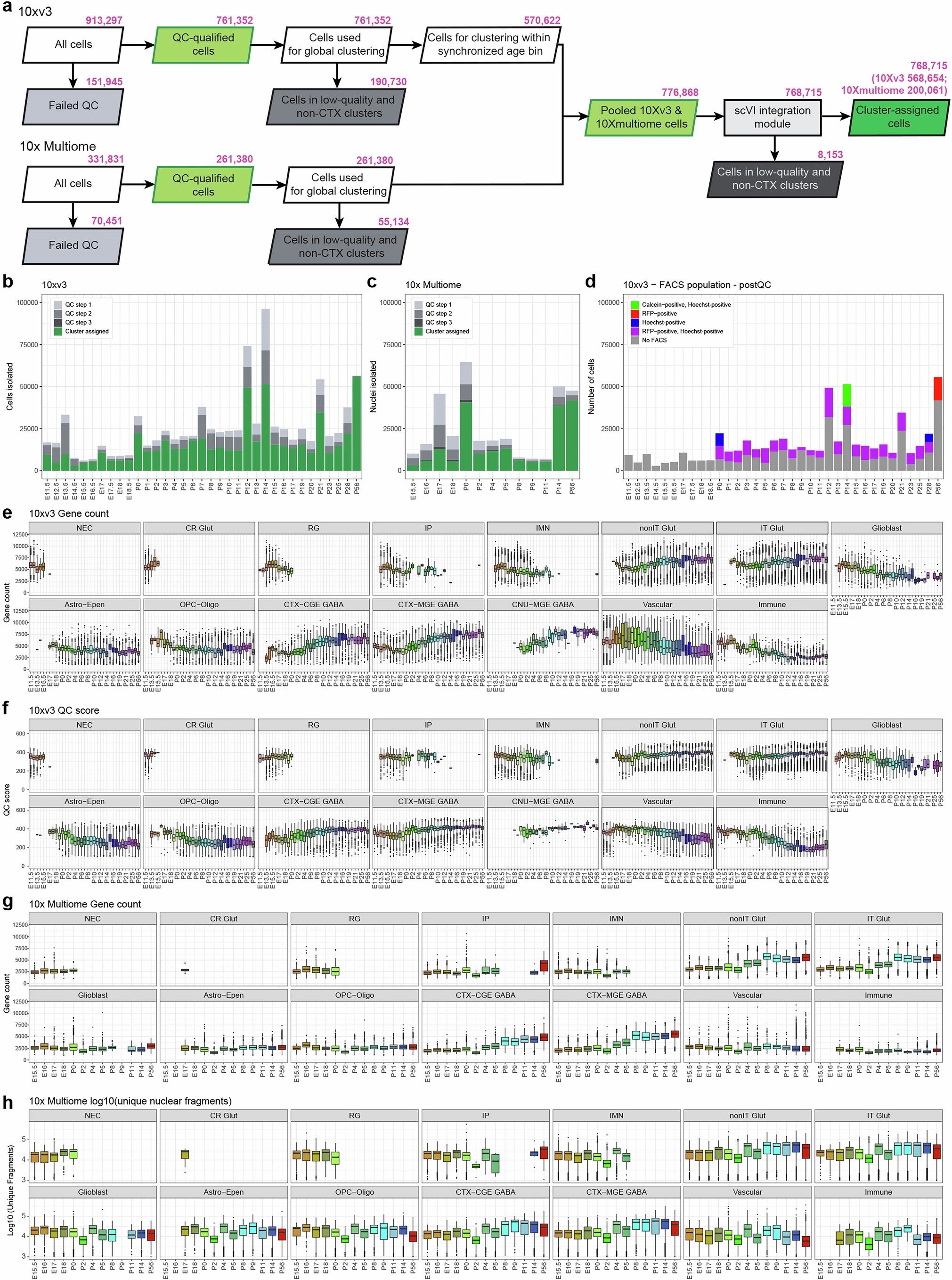 Extended Data Fig. 1: scRNA-seq and Multiome data processing and analysis workflow and quality control.