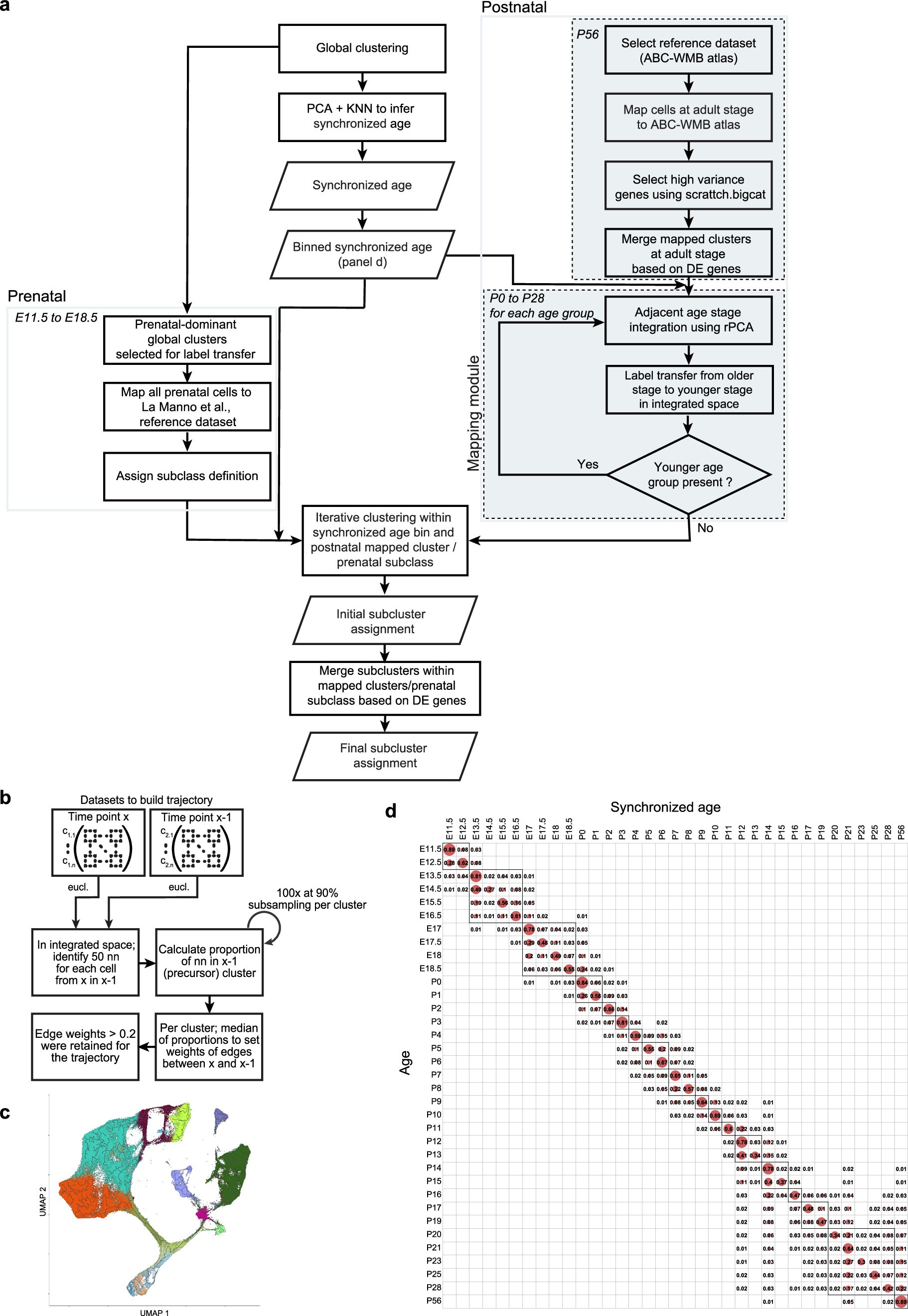 Extended Data Fig. 2: Detailed scRNA-seq and Multiome data analysis workflow.
