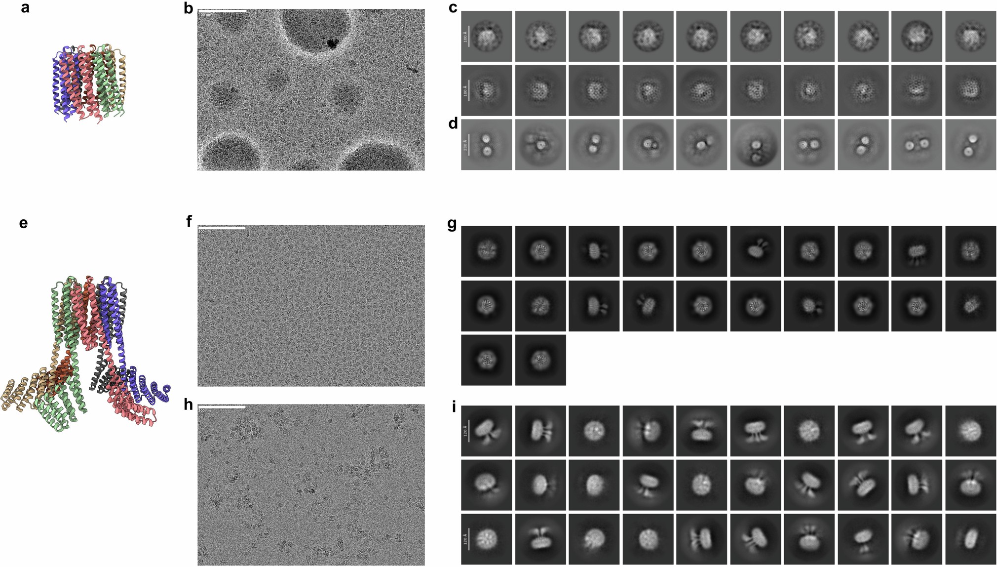 Extended Data Fig. 8