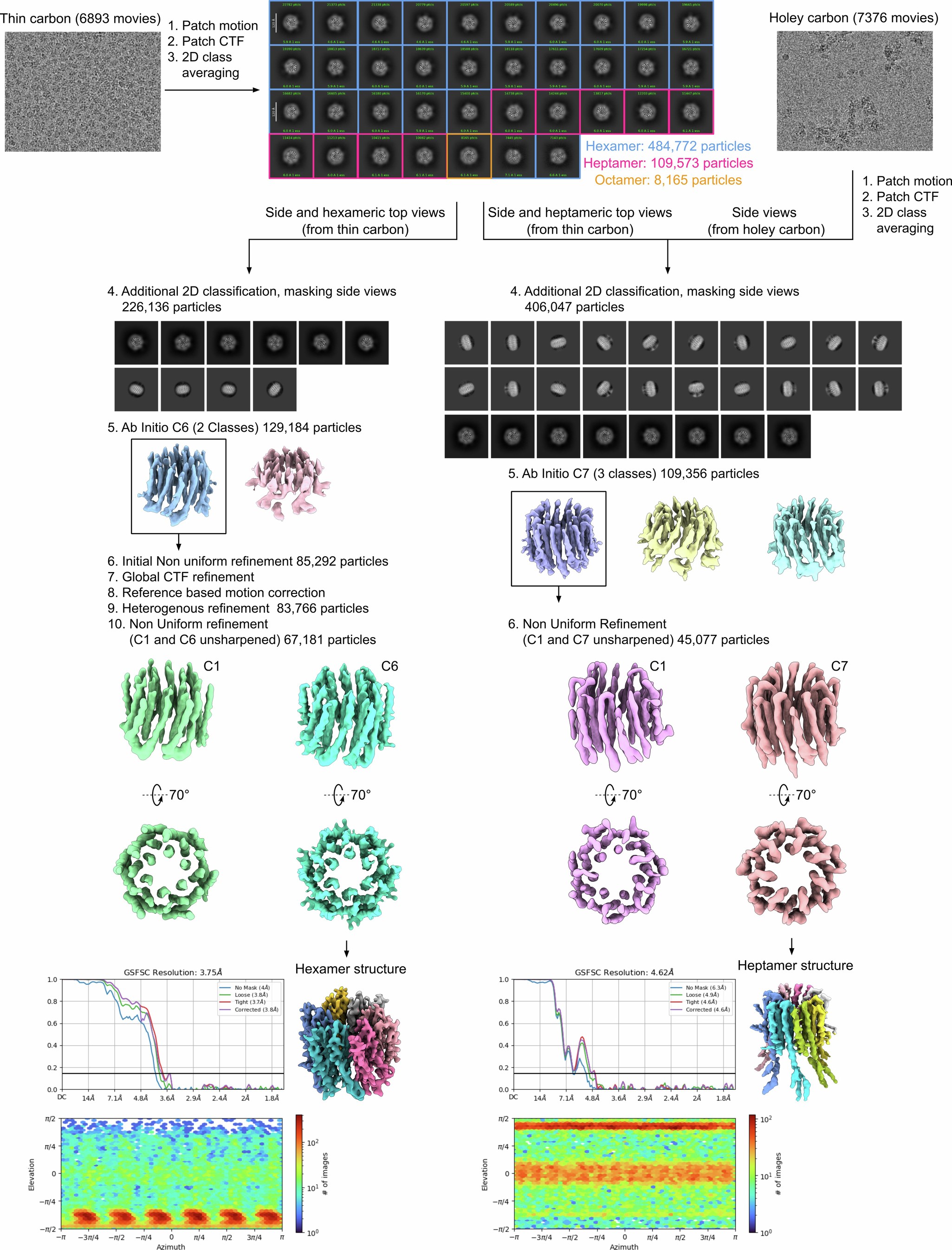 Extended Data Fig. 9