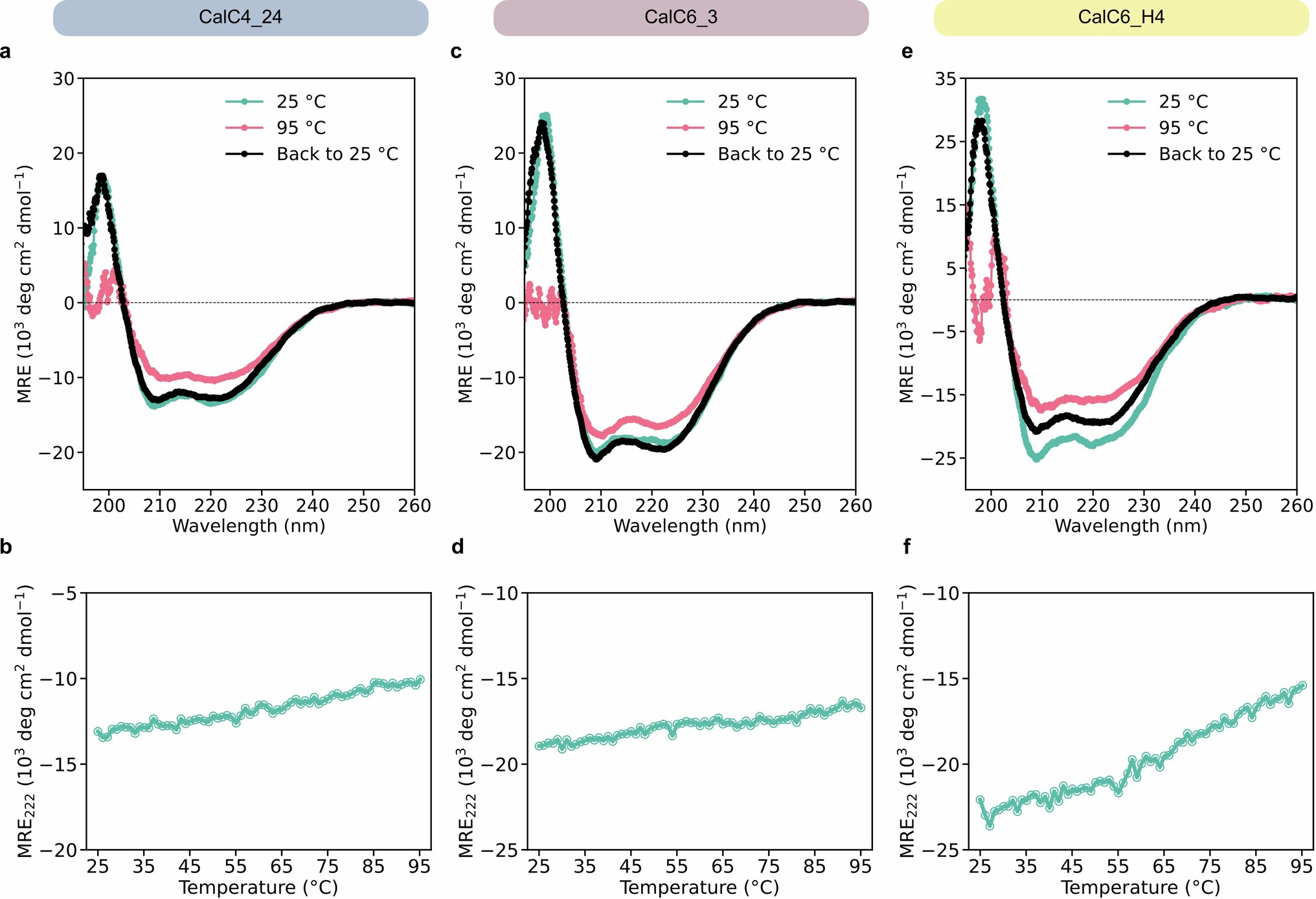 Extended Data Fig. 4: Circular dichroism results of CalC4_24 (a-b), CalC6_3 (c-d), and CalC6_H4 (e-f).