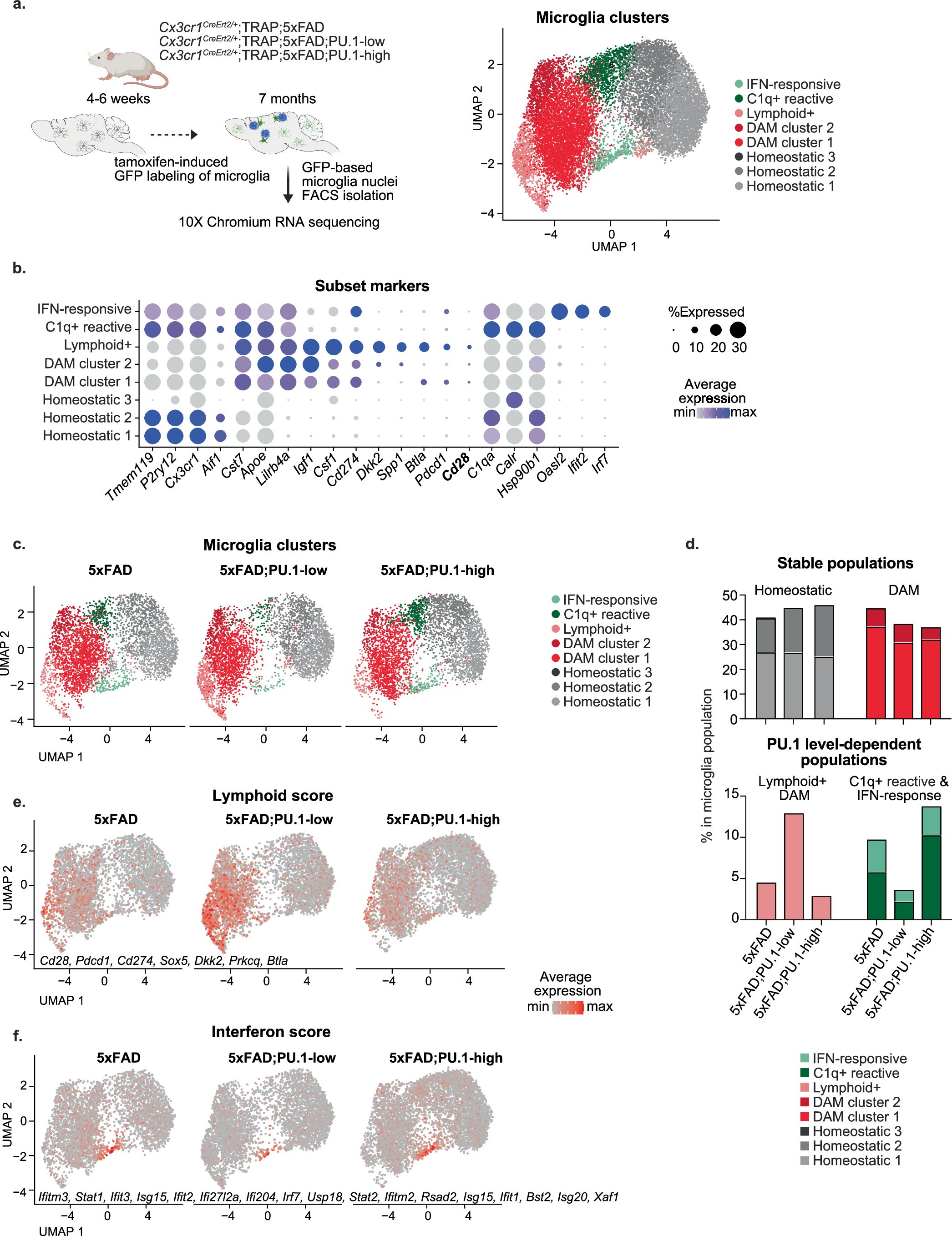 Extended Data Fig. 7: PU.1 levels govern microglia transcriptional responses in 5xFAD mice: microglia single nuclei analysis (related to Fig. 4).