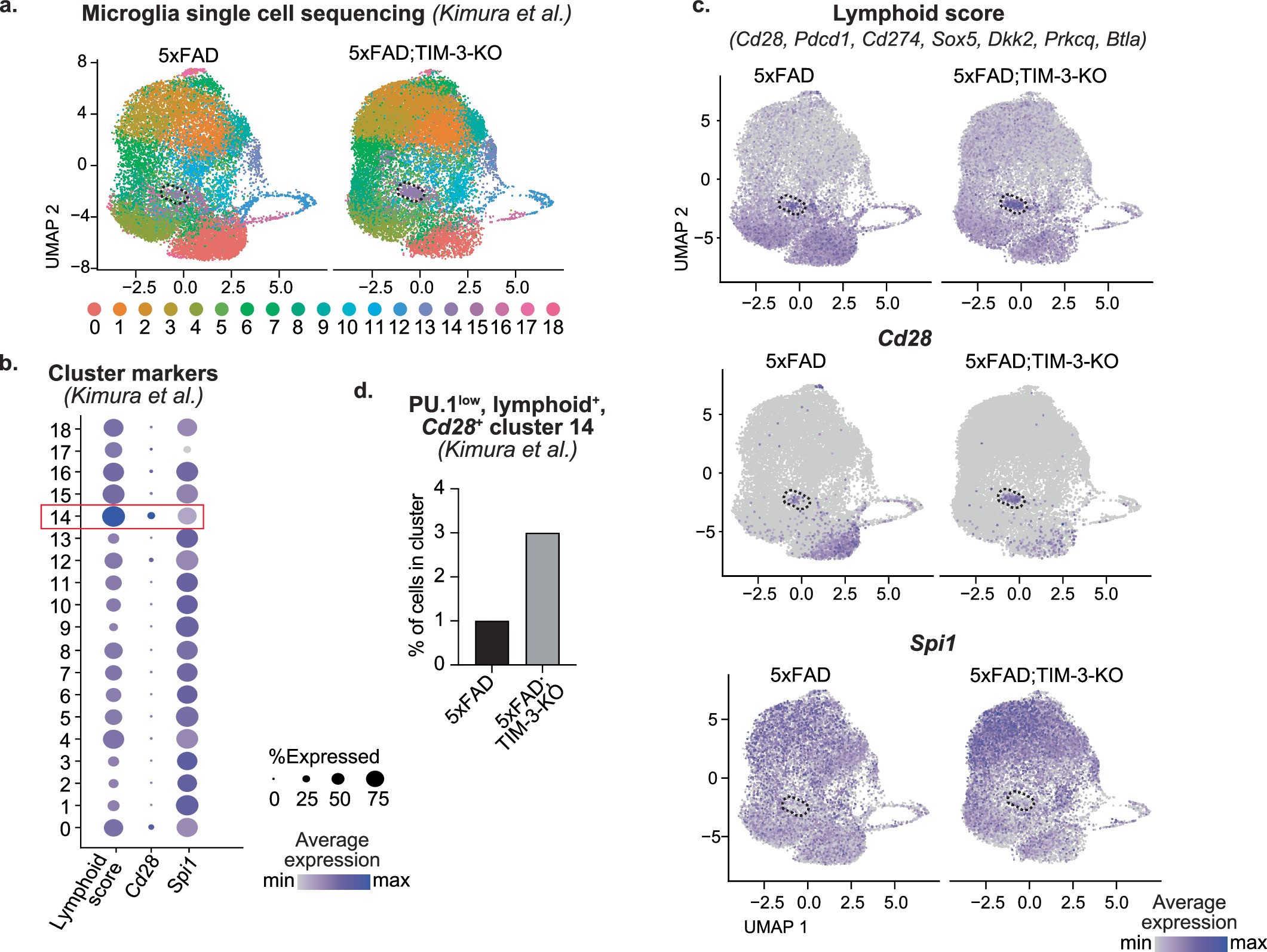 Extended Data Fig. 12: The neuroprotective PU.1low, lymphoid+/CD28+ microglia subpopulation expands in TIM-3-KO mice (related to Fig. 5).