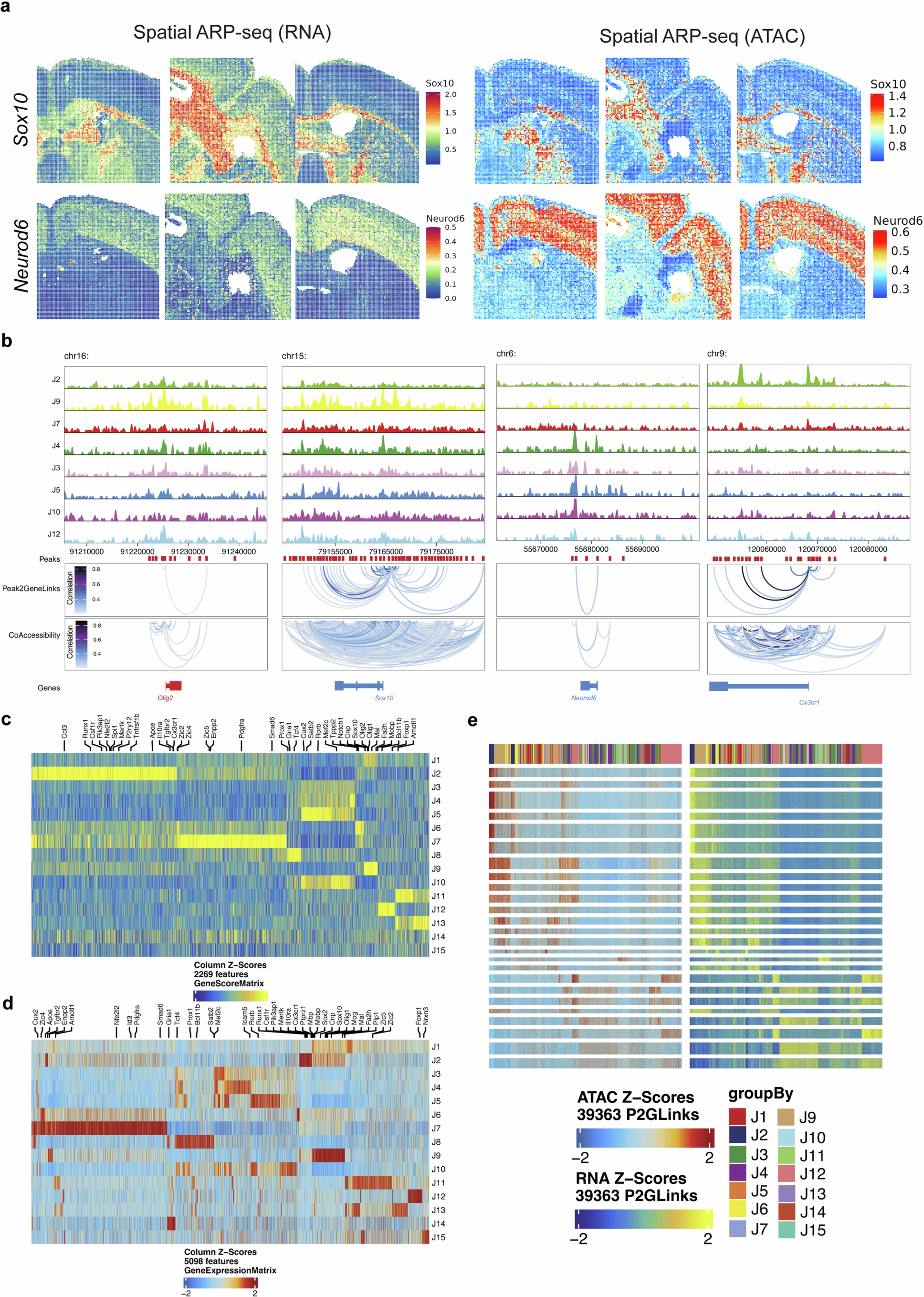Extended Data Fig. 11: Further analysis of spatial ARP-seq for LPC mouse brains.