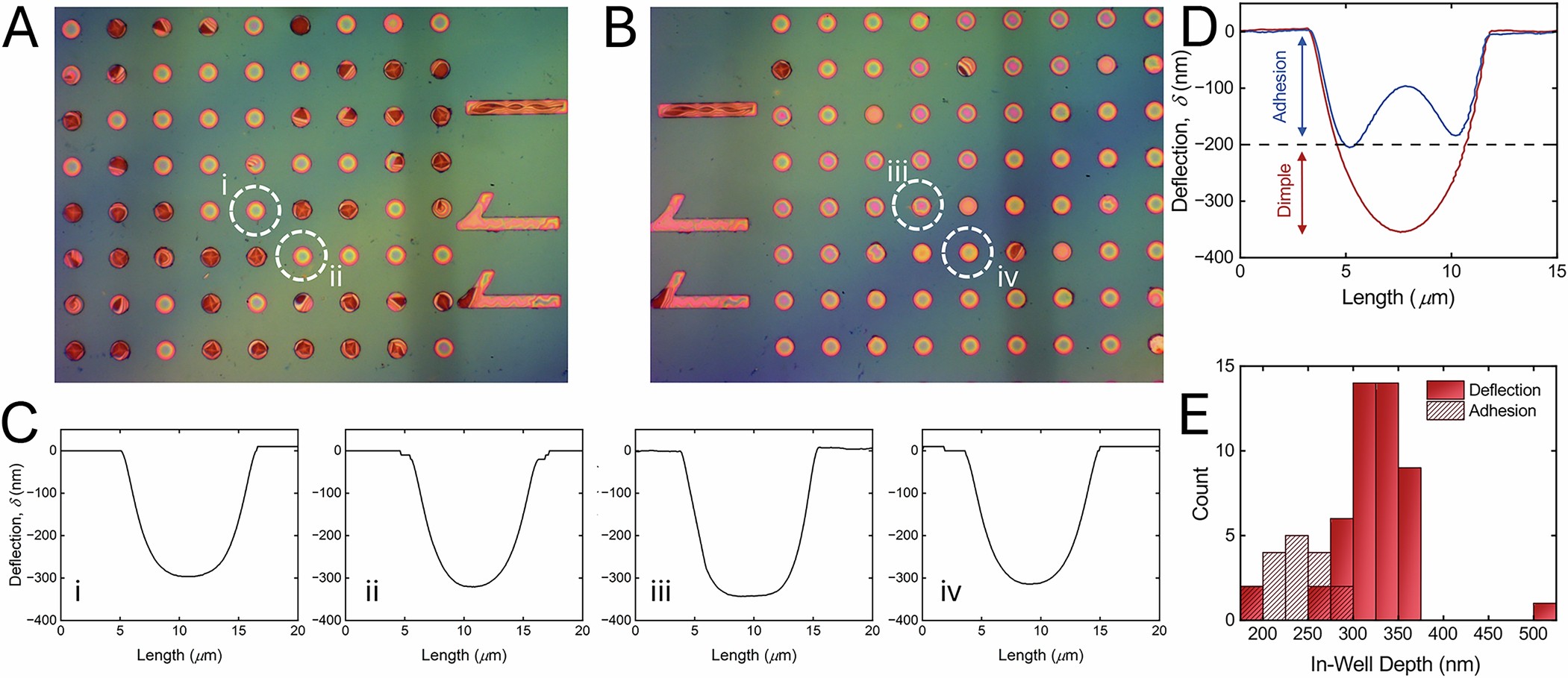 Extended Data Fig. 2: Negative deflection and adhesion of films into microwells.