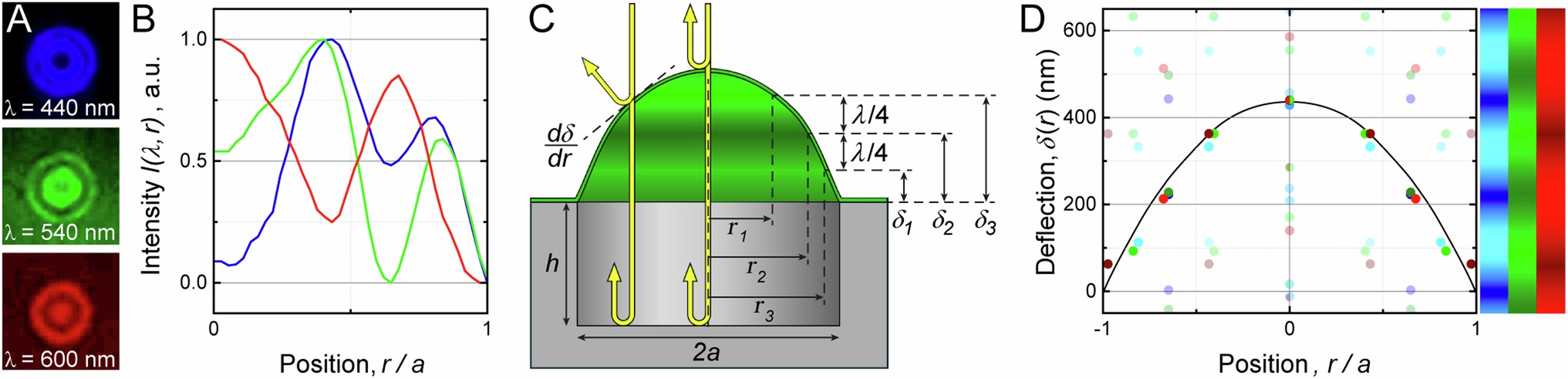 Extended Data Fig. 3: Interferometric analysis of bulge deflection.