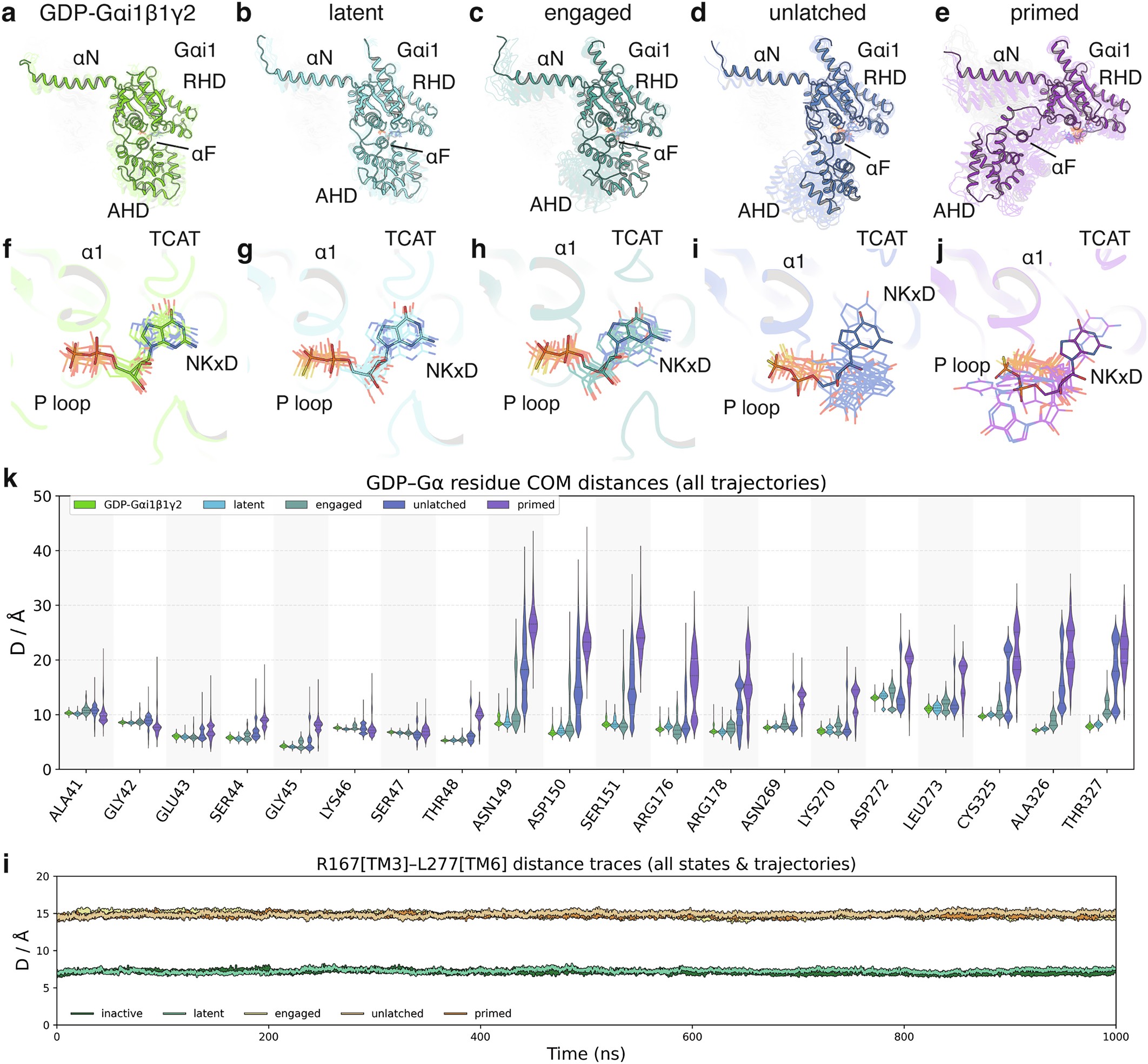 Extended Data Fig. 8: Molecular Dynamics simulations reveal how MOR–G protein conformations dictate AHD and GDP dynamics.