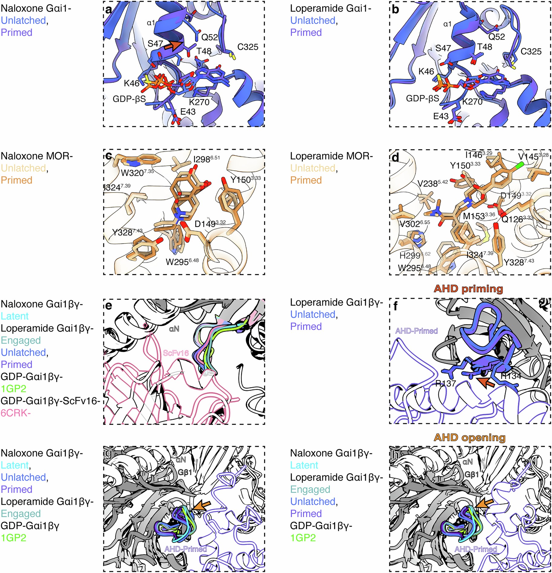 Extended Data Fig. 9