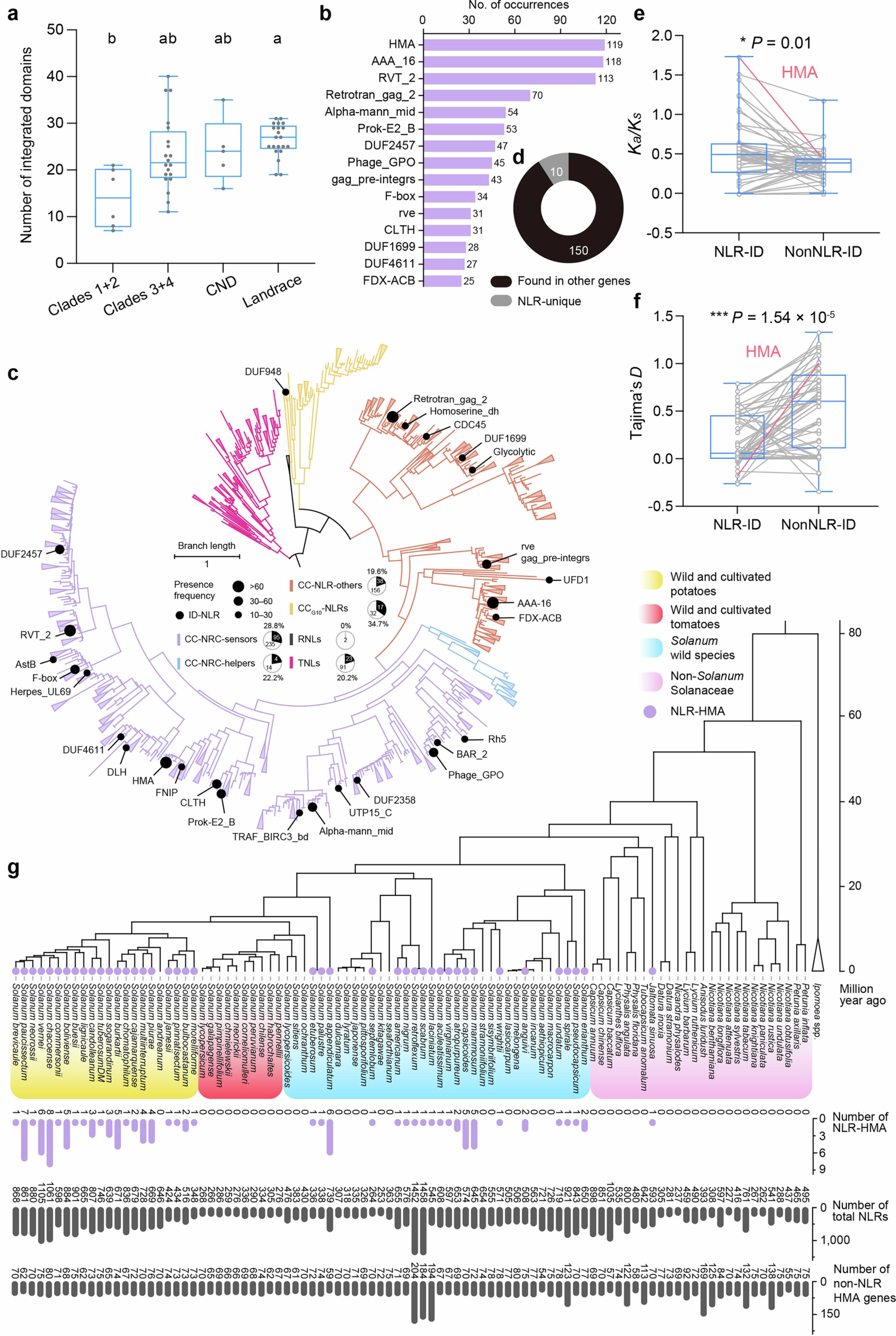 Extended Data Fig. 5: Diversity and evolution of NLR IDs in Petota.