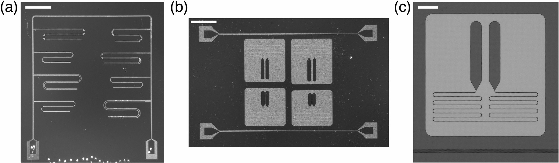 Extended Data Fig. 5: Resonator patterns.