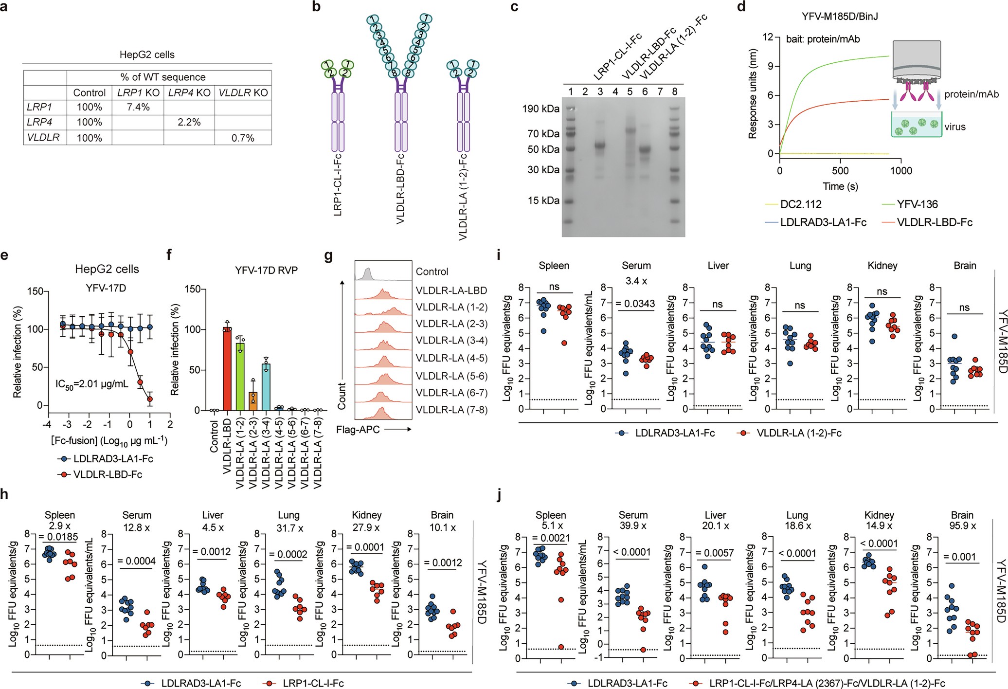 Extended Data Fig. 9: LRP1 and VLDLR interact with YFV virions.