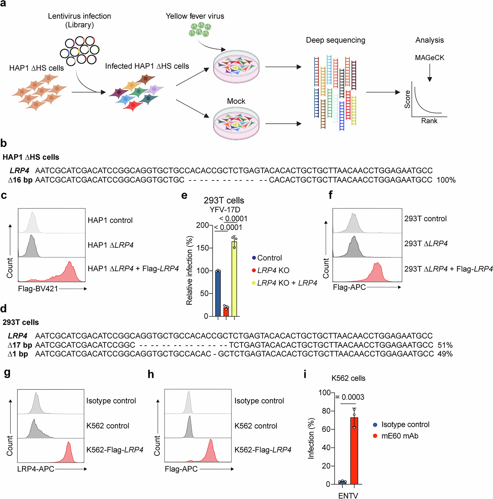 Extended Data Fig. 1: CRISPR–Cas9 screen identifies LRP4 as a factor required for efficient YFV infection.