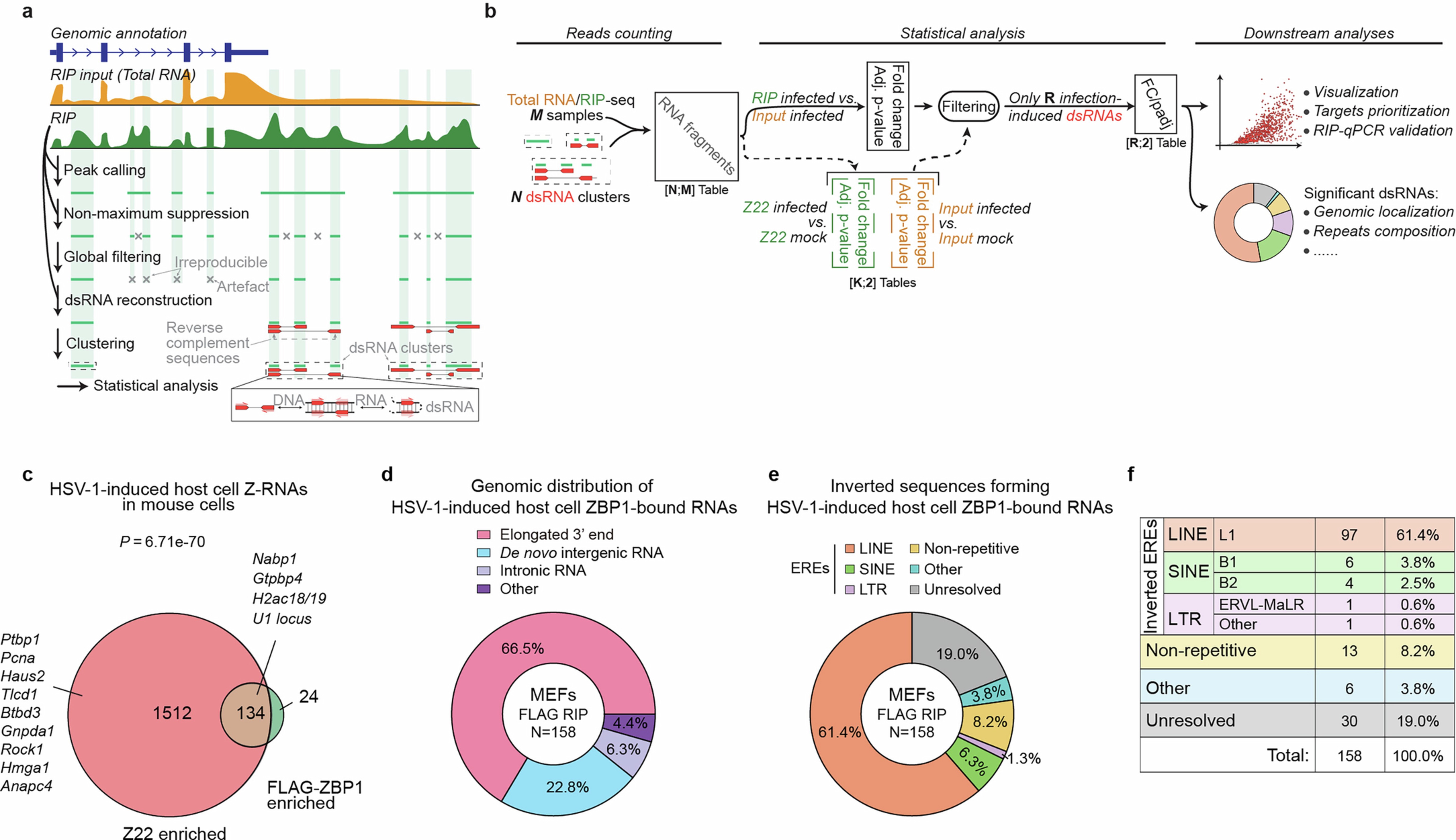Extended Data Fig. 2: (Related to Fig. 2). Analysis of host cell Z-RNAs and ZBP1-bound RNAs.