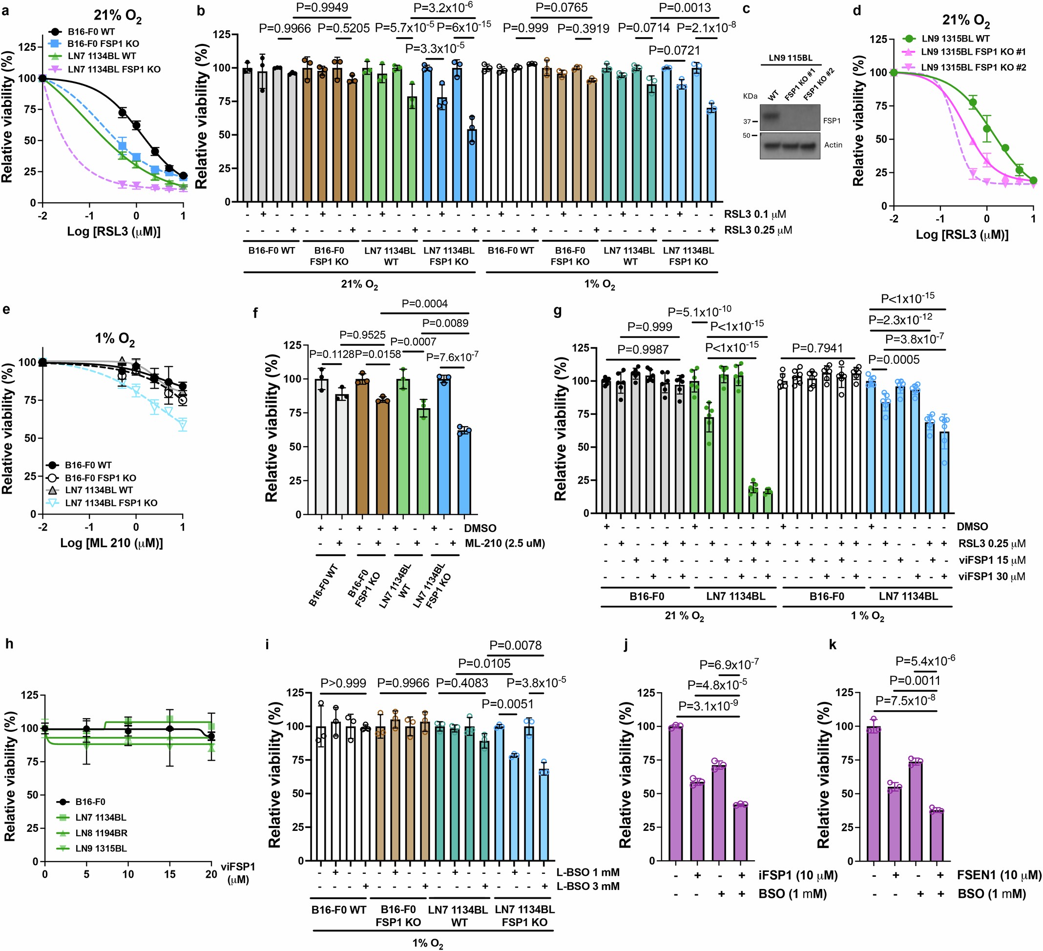 Extended Data Fig. 9: FSP1 and GCLC inhibition reduces LN cell viability under 21% and 1% O2.